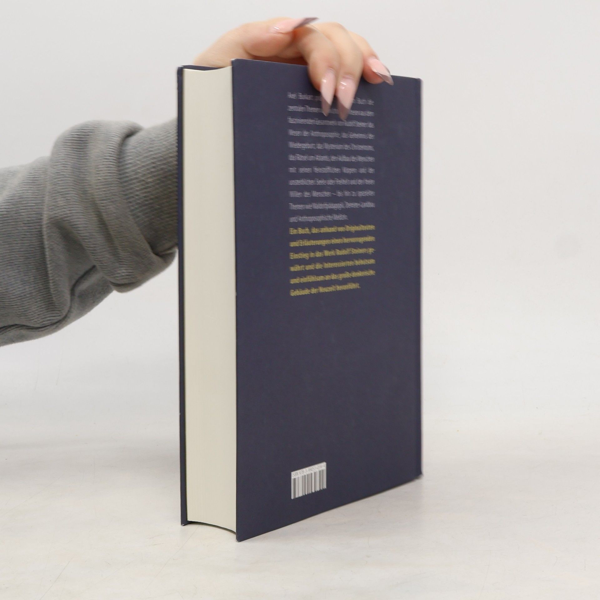 Axel Burkart Das große Rudolf Steiner Buch für Einsteiger