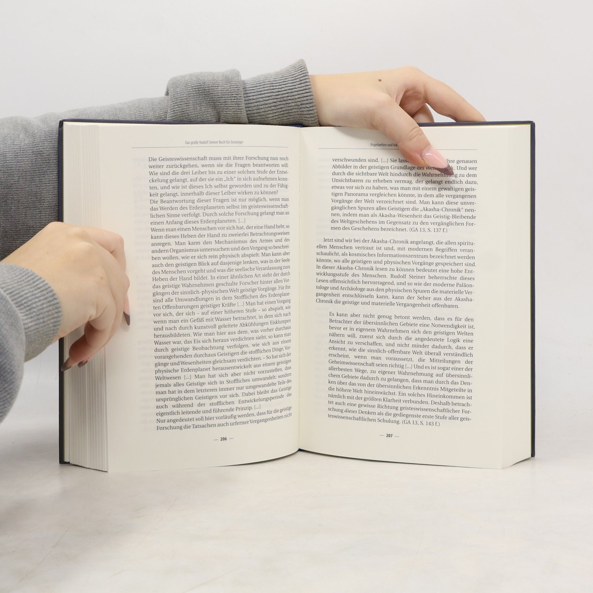 Axel Burkart Das große Rudolf Steiner Buch für Einsteiger
