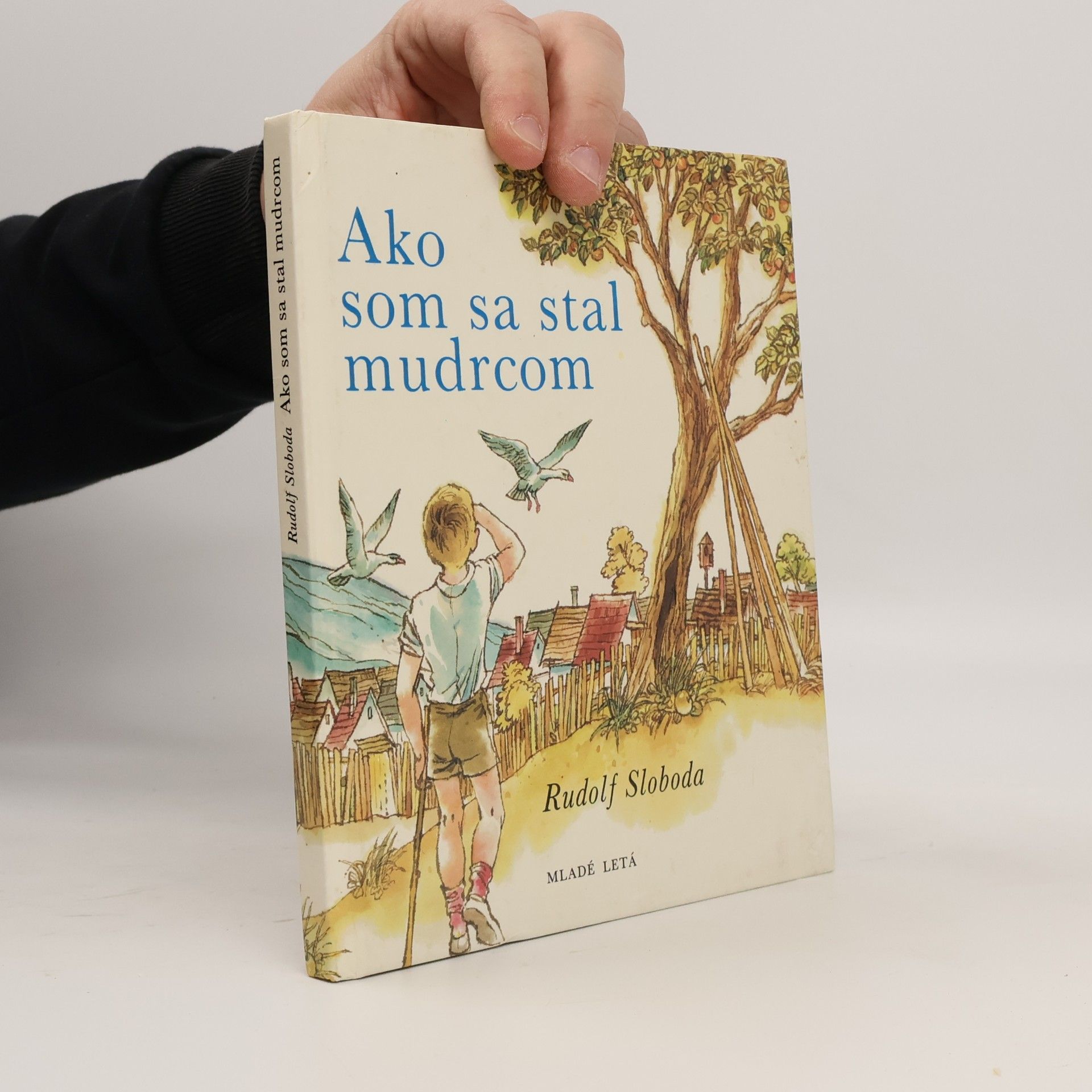 Ako som sa stal mudrcom