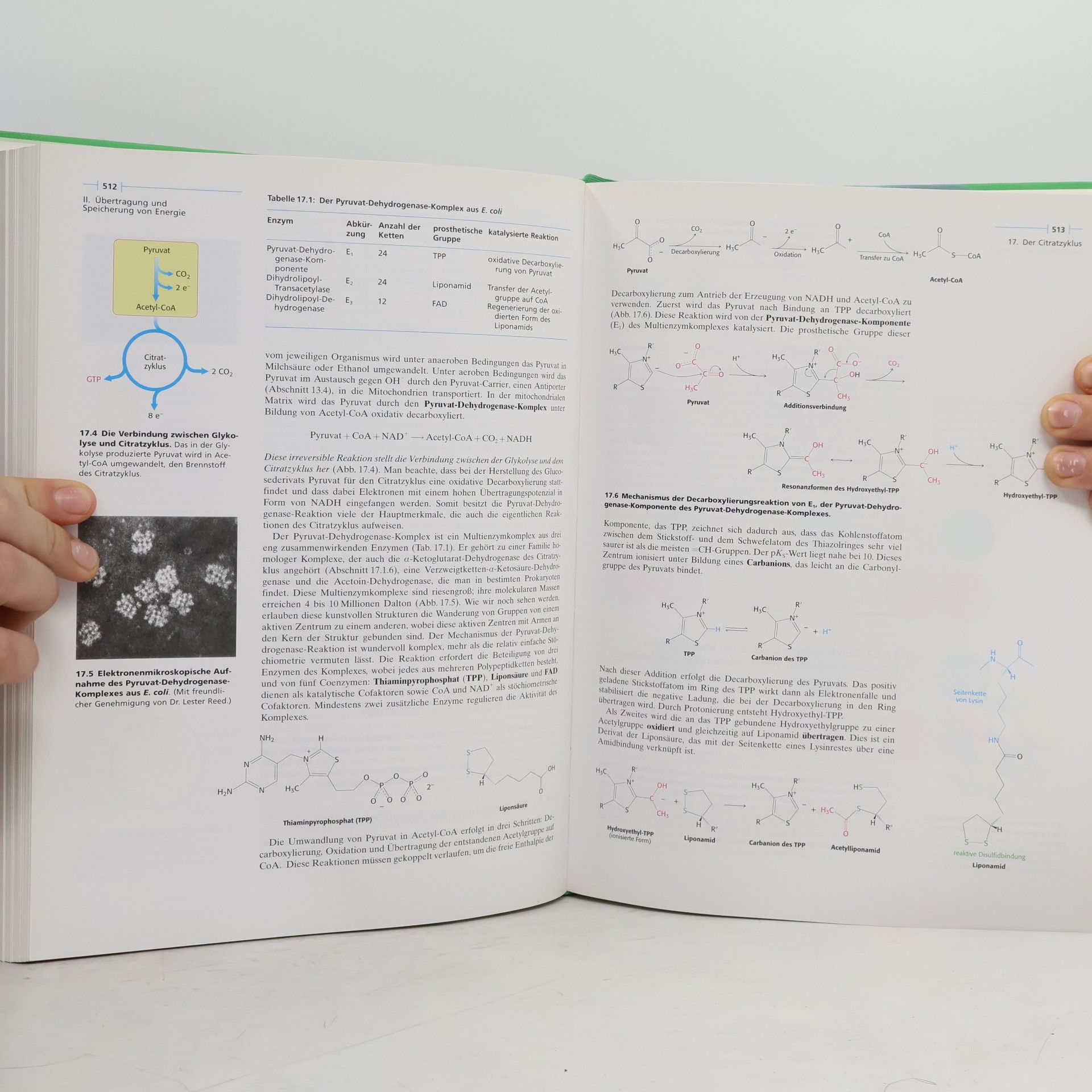 Jeremy Mark Berg Biochemie