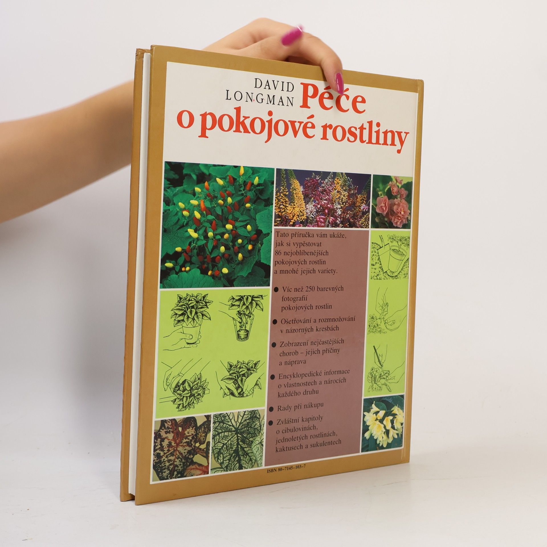 David Longman Péče o pokojové rostliny