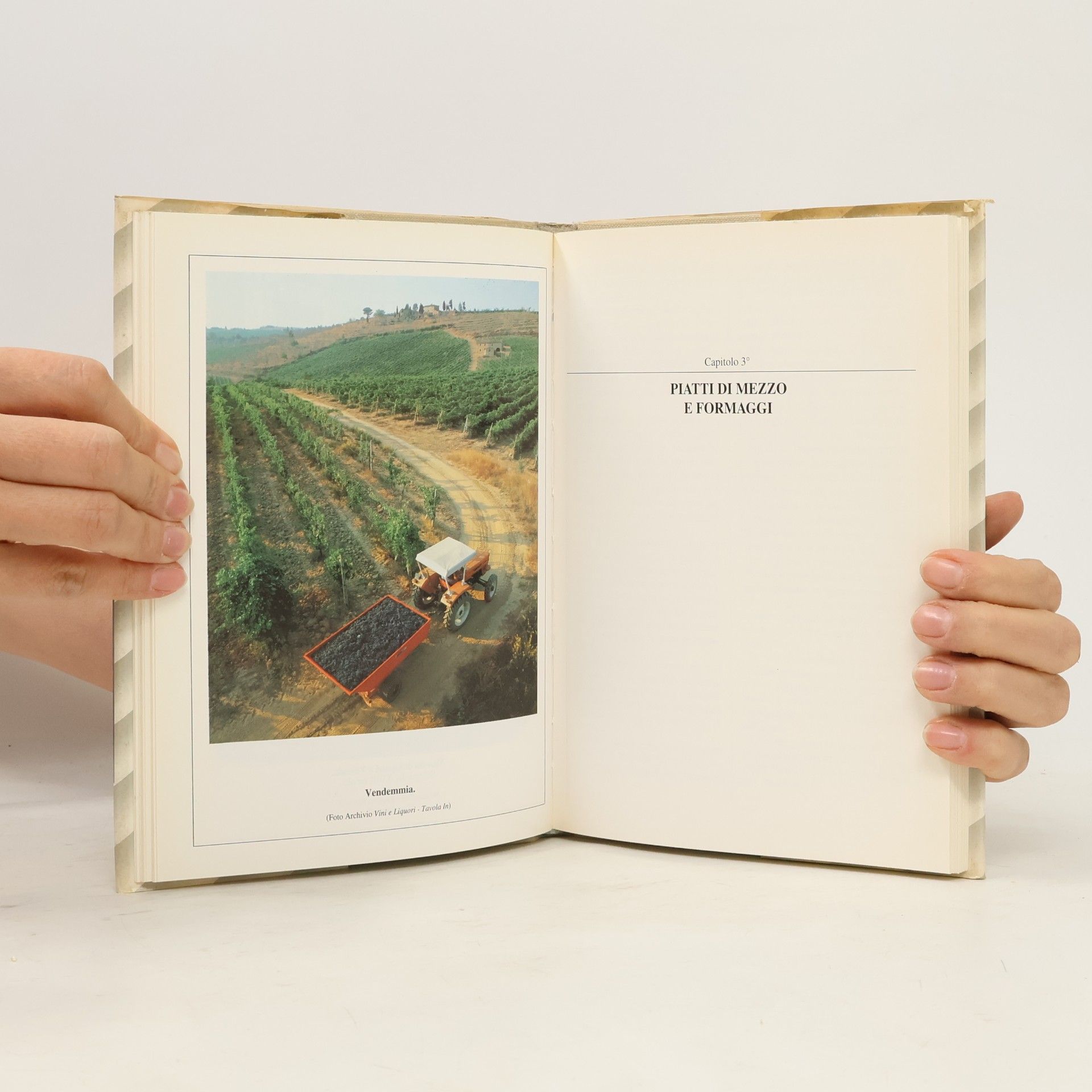 Sandro Bottega I libri della famiglia - 11: La grappa e i suoi sapori. 82 ricette per preparare: antipasti, primi e secondi piatti, piatti di mezzo, pizze e piatti unici, dessert e cocktail