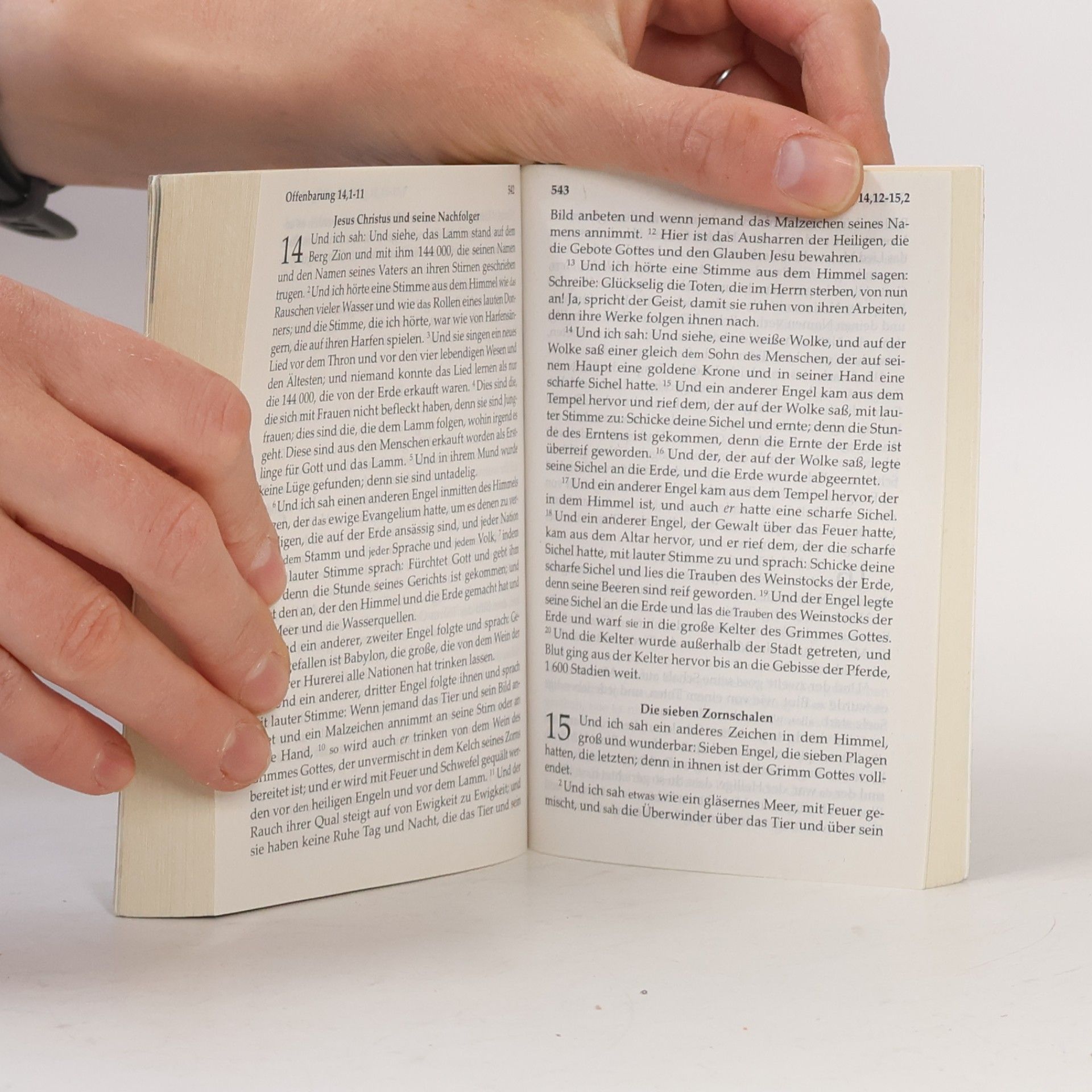 kolektiv Die Bibel