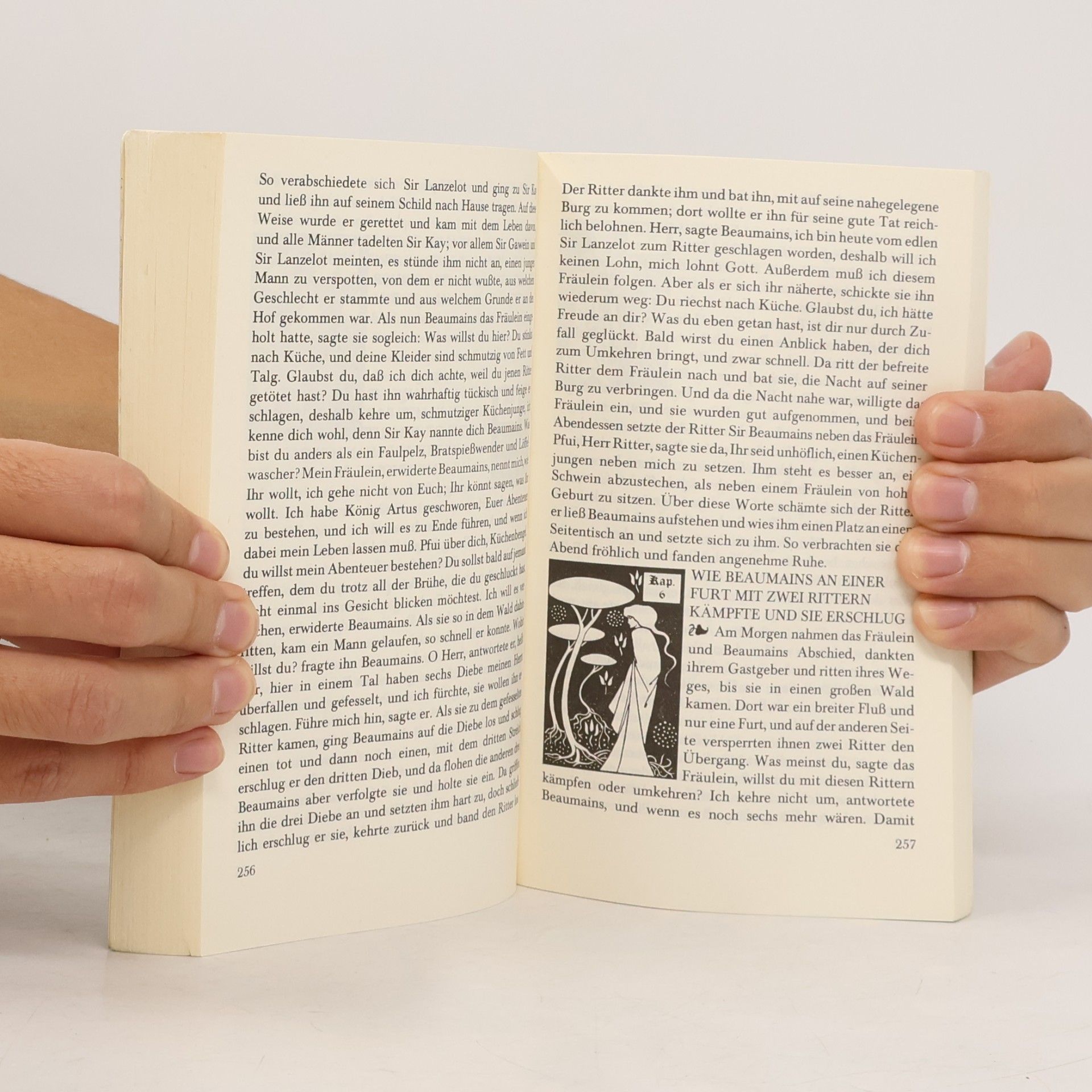 Thomas Malory Die Geschichten von König Artus und den Rittern seiner Tafelrunde 1-3