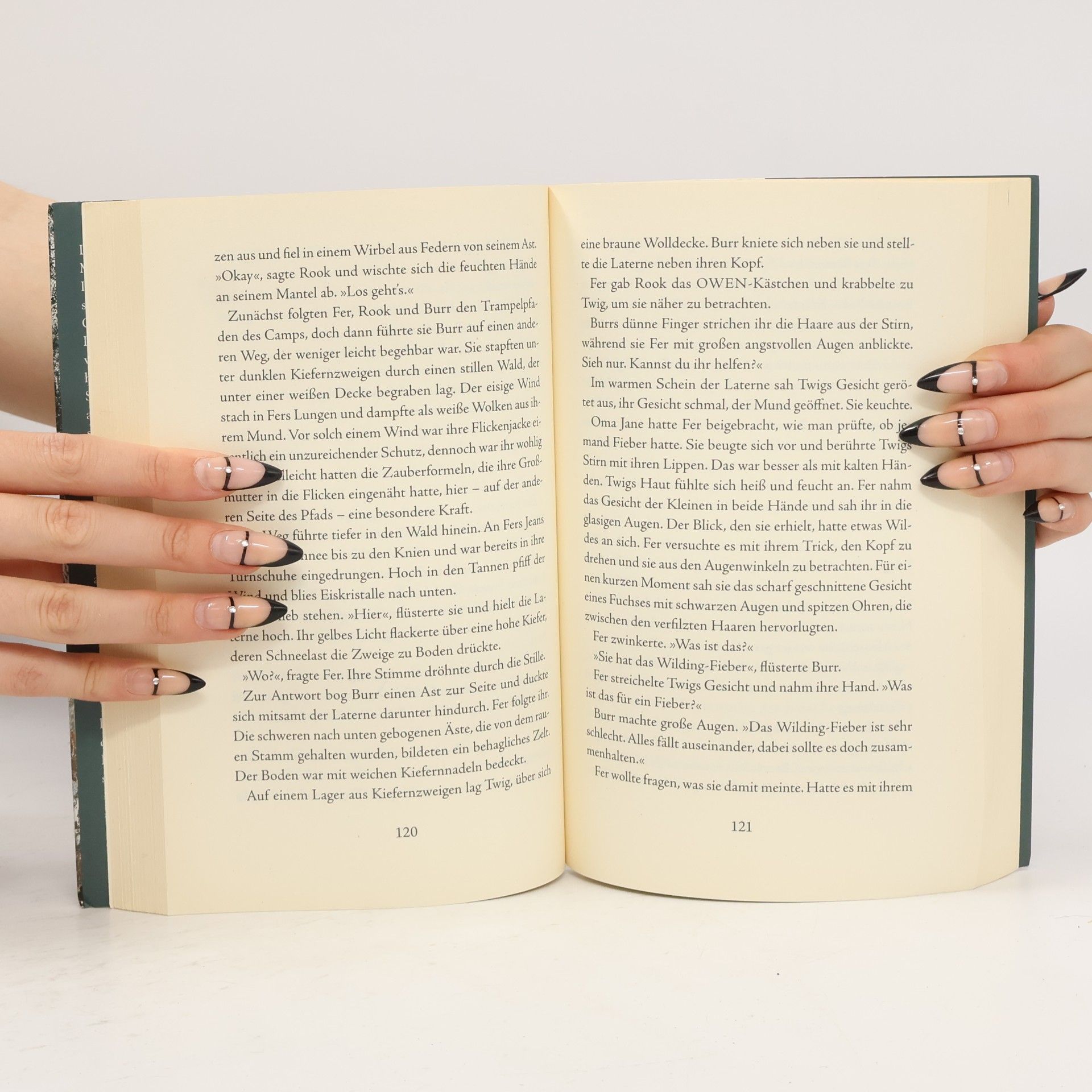 Sarah Prineas Winterkind
