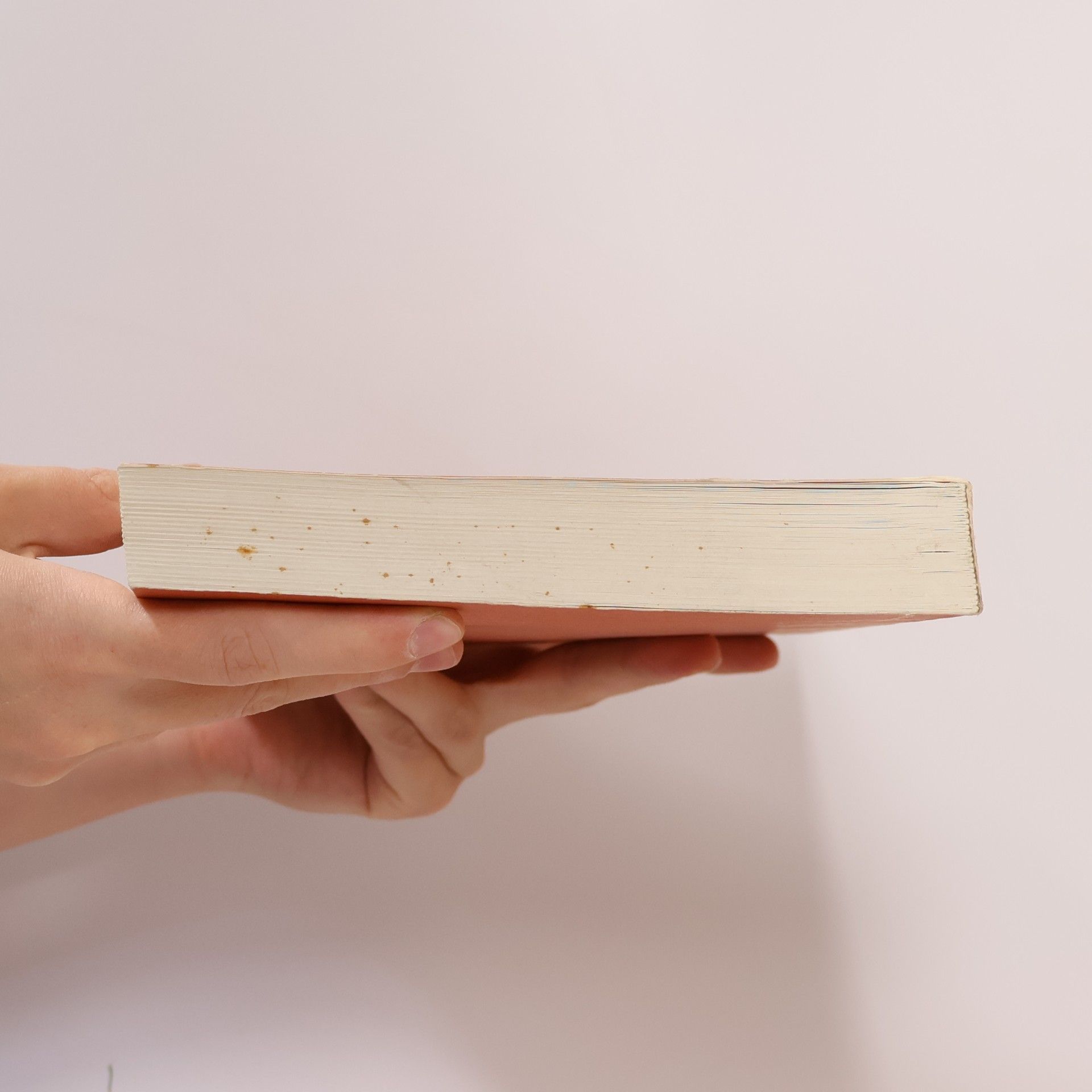 Autorenkollektiv Sammlung Thyssen-Bornemisza