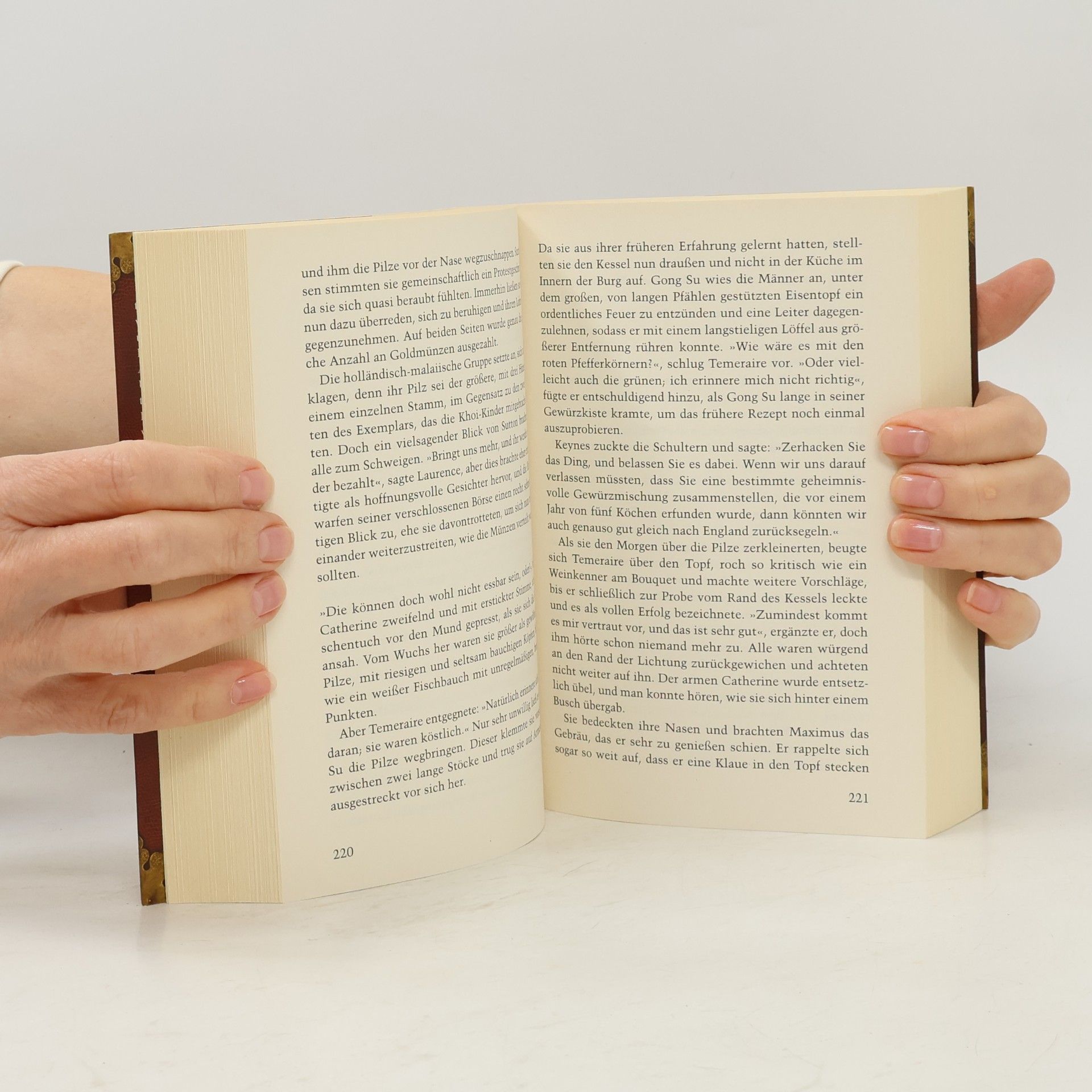 Naomi Novik Drachenglanz