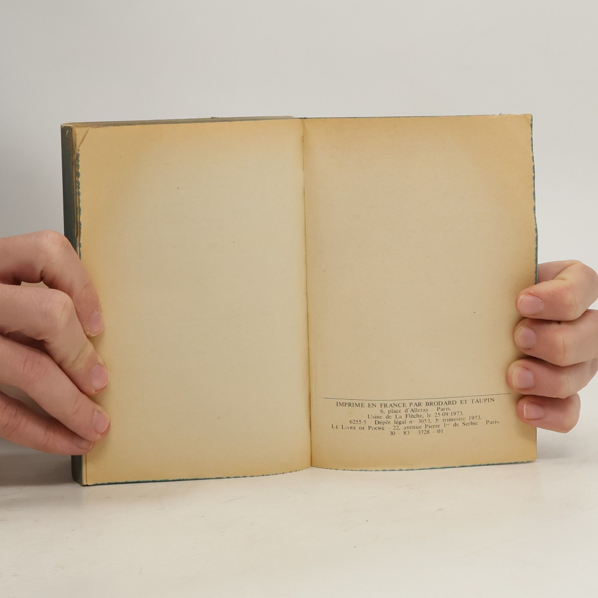 Alexandre Dumas der Ältere Les Mohicans de Paris