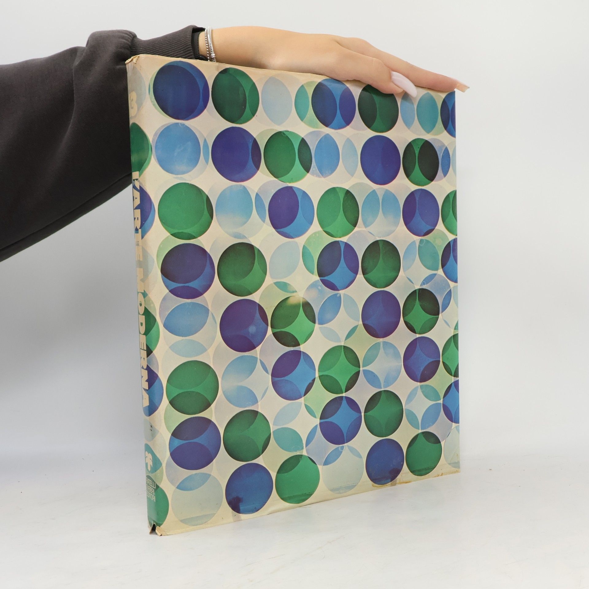 Wayne Andersen L'arte moderna XIII: L'arte contemporanea II: Ricerche sulla percezione e sulla comunicazione