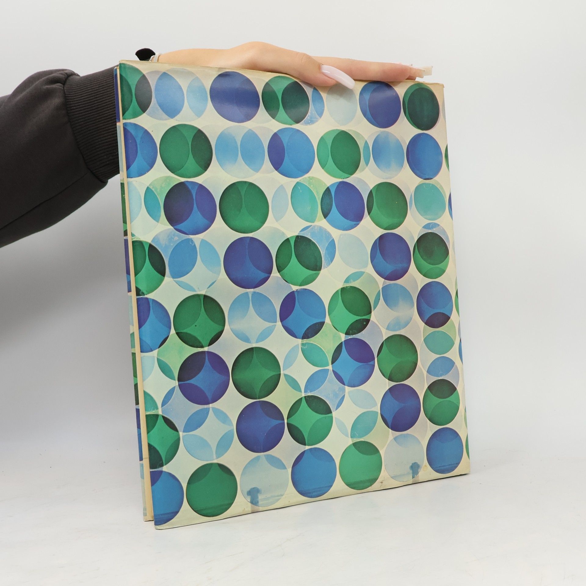 Wayne Andersen L'arte moderna XIII: L'arte contemporanea II: Ricerche sulla percezione e sulla comunicazione