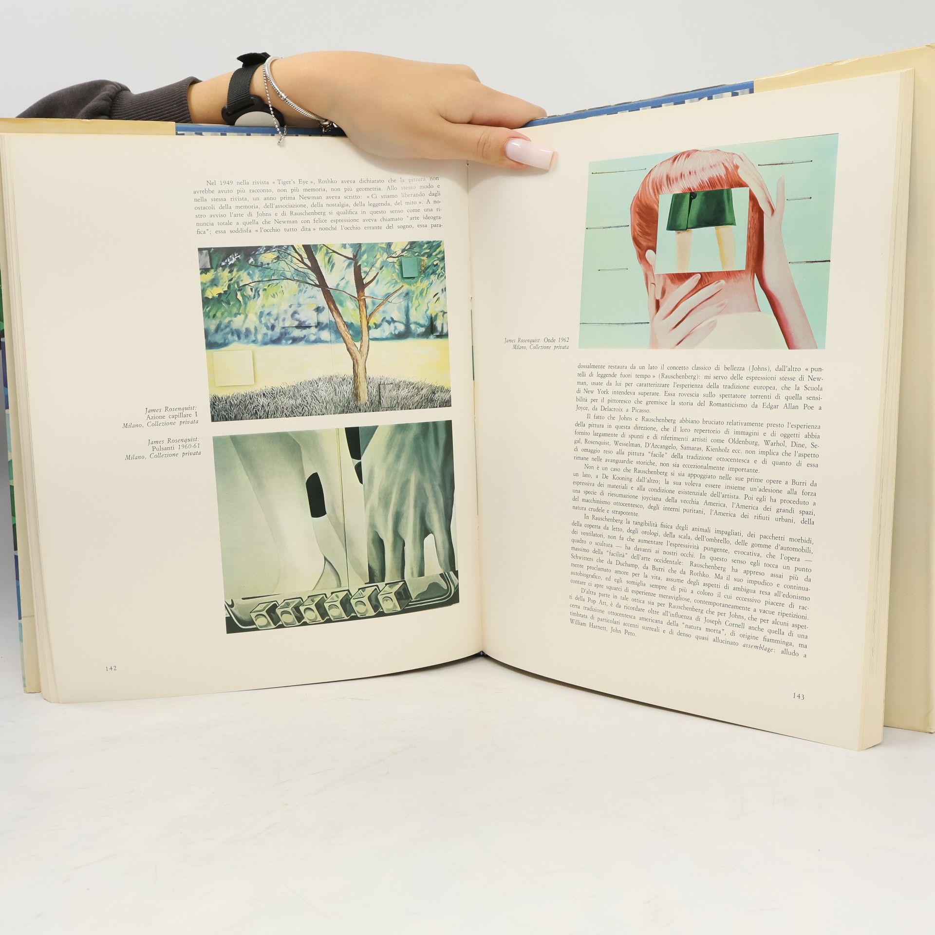 Wayne Andersen L'arte moderna XIII: L'arte contemporanea II: Ricerche sulla percezione e sulla comunicazione