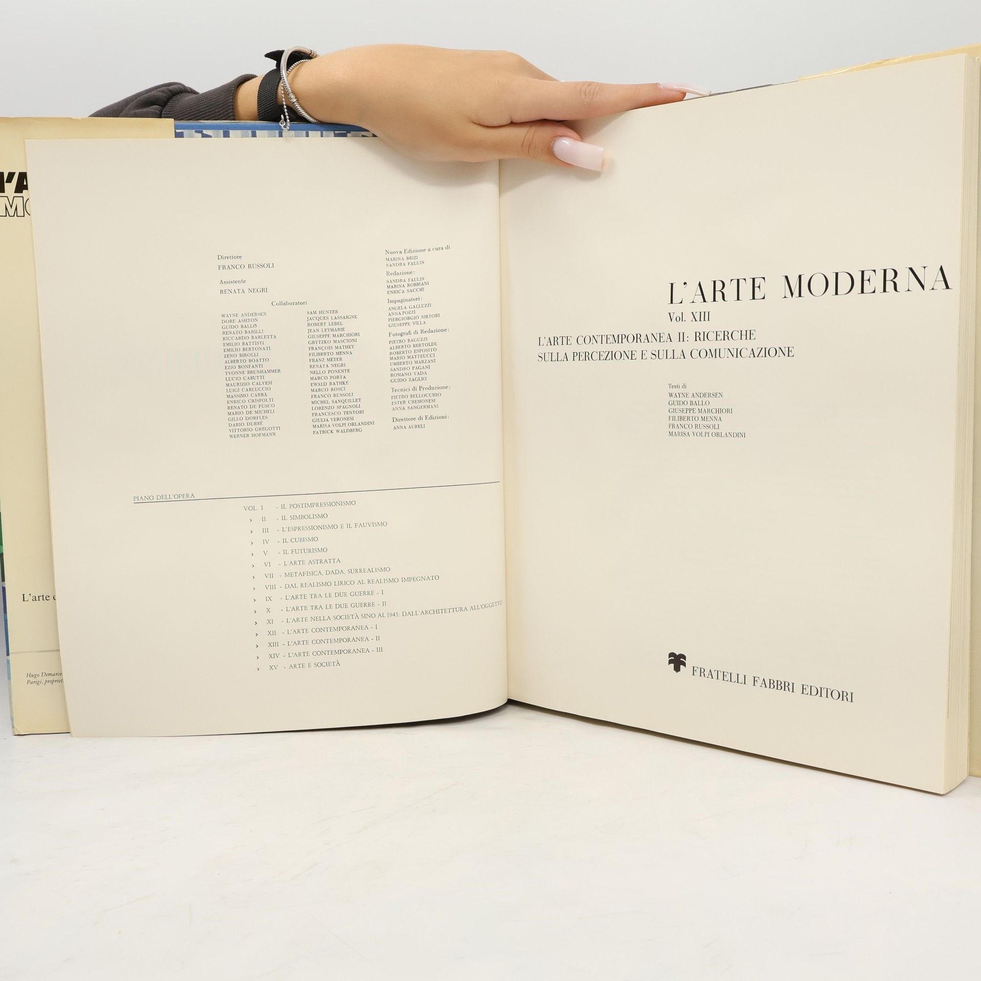 Wayne Andersen L'arte moderna XIII: L'arte contemporanea II: Ricerche sulla percezione e sulla comunicazione