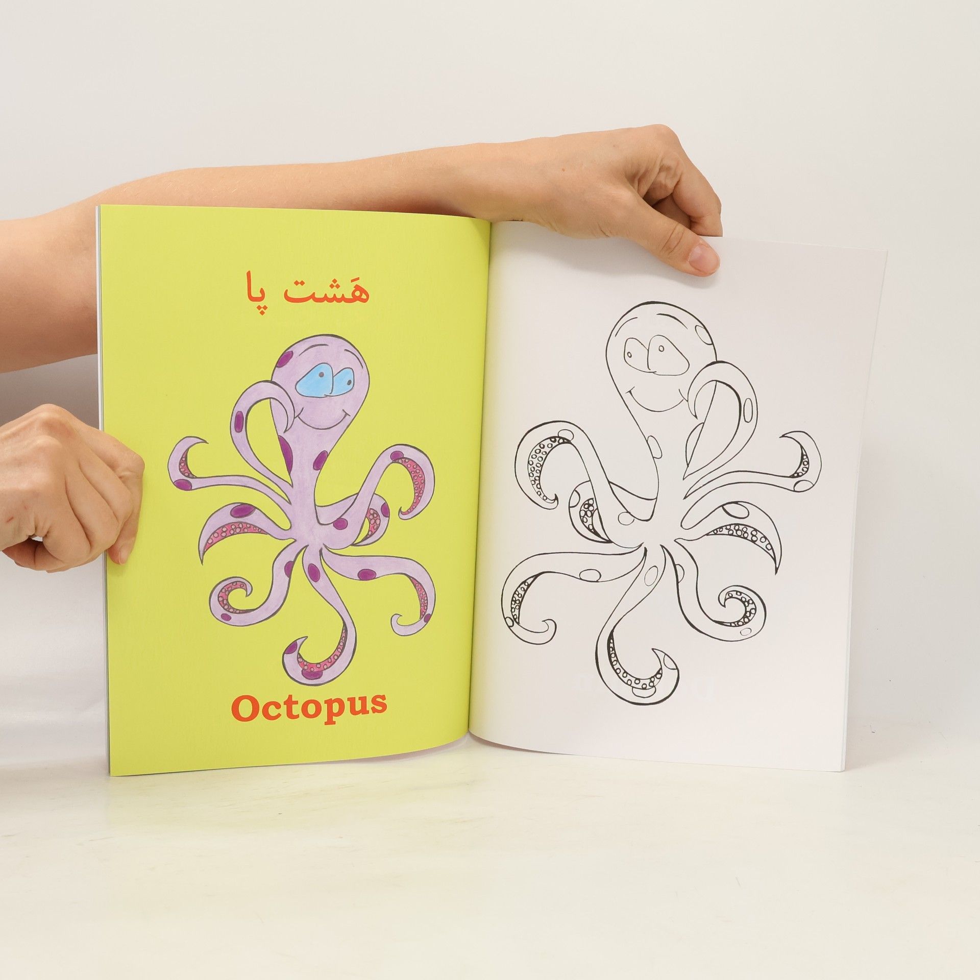 Nazanin Mirsadeghi Sea Creatures