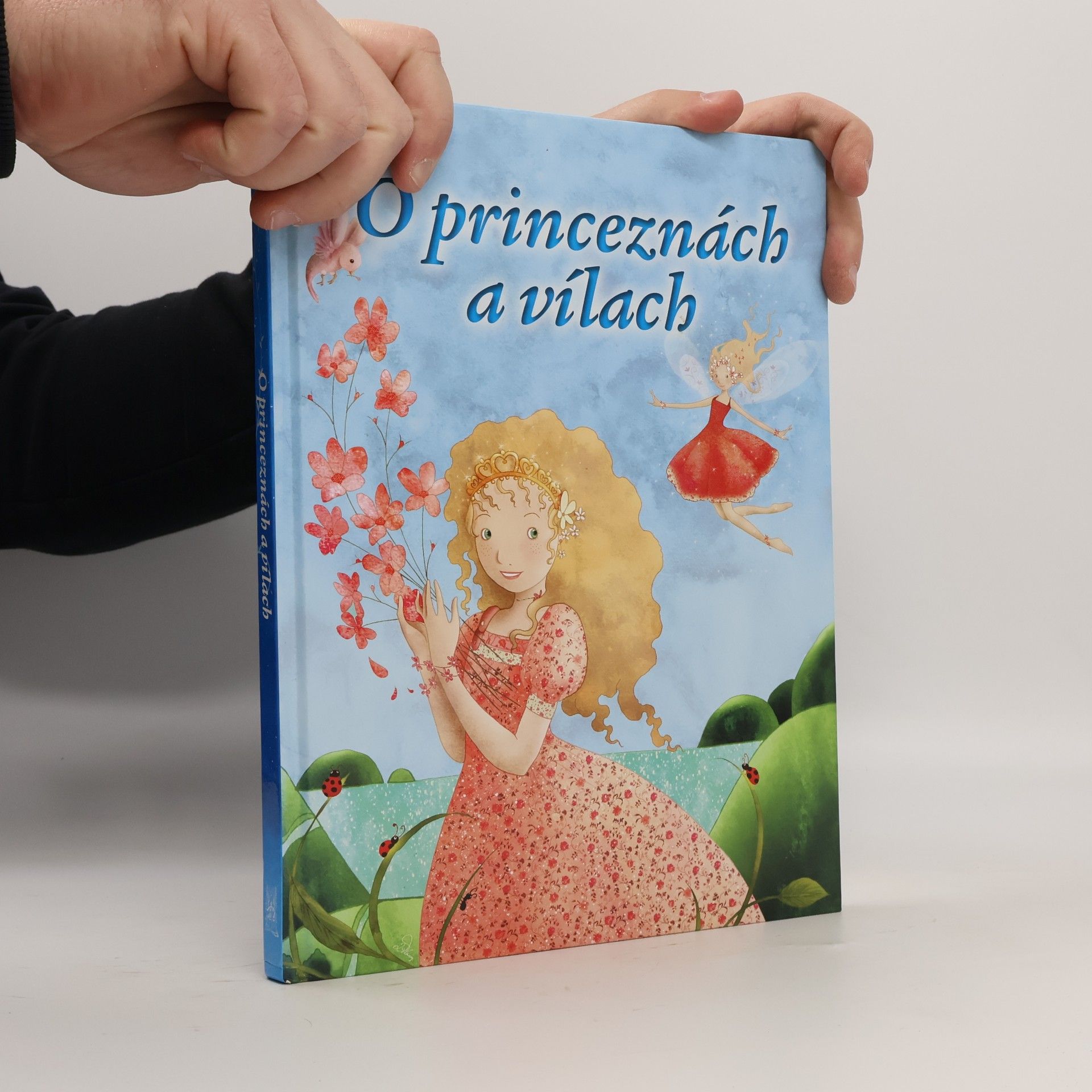 O princeznách a vílach