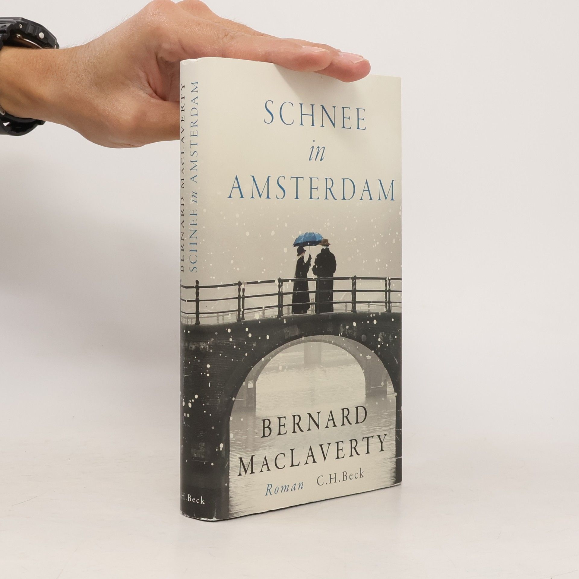 Bernard MacLaverty Schnee in Amsterdam