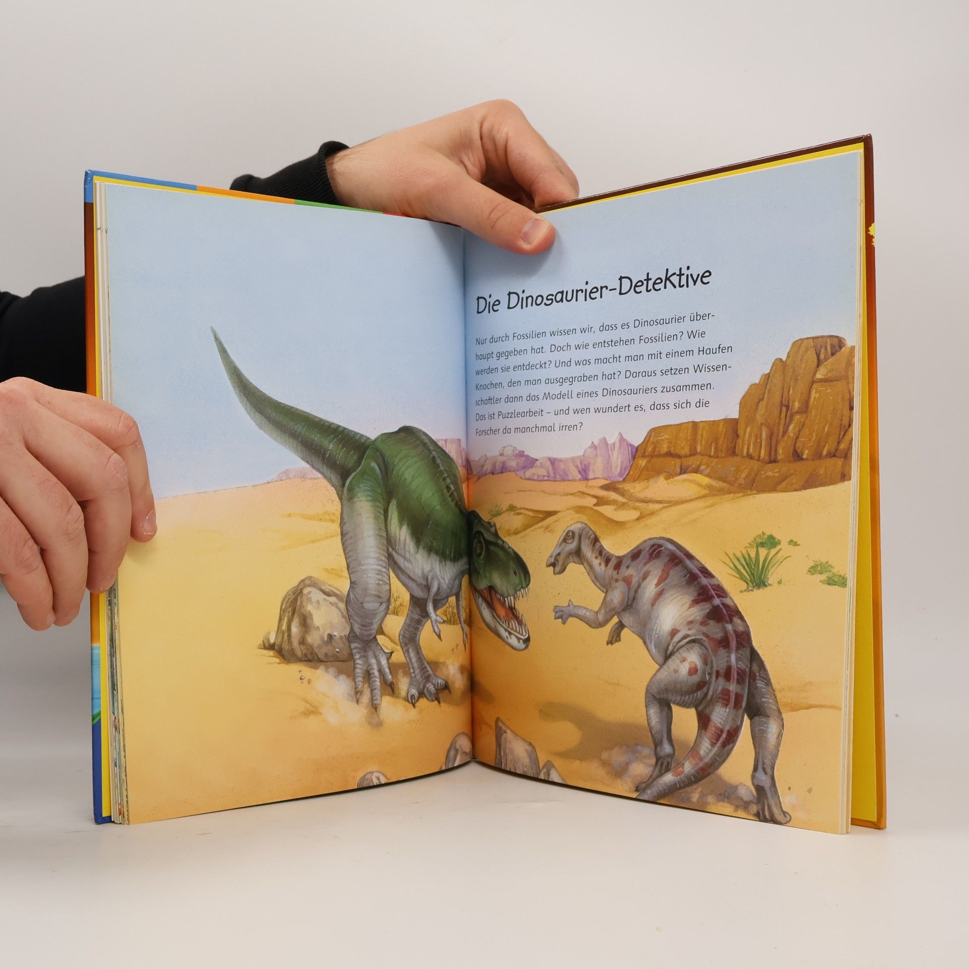 Karin Baege Dinosaurier
