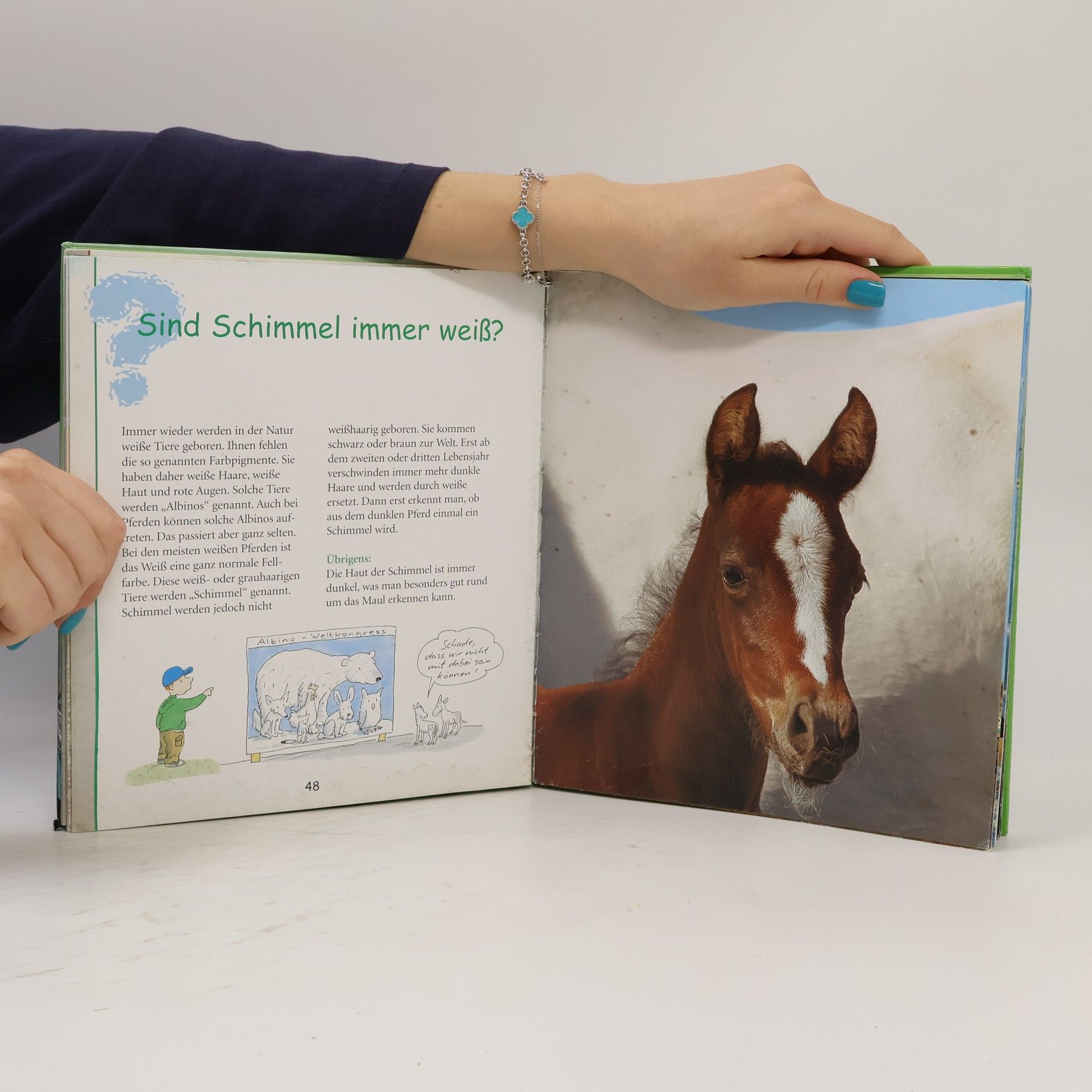 Detlef Kersten Wie viele streifen hat ein Zebra?