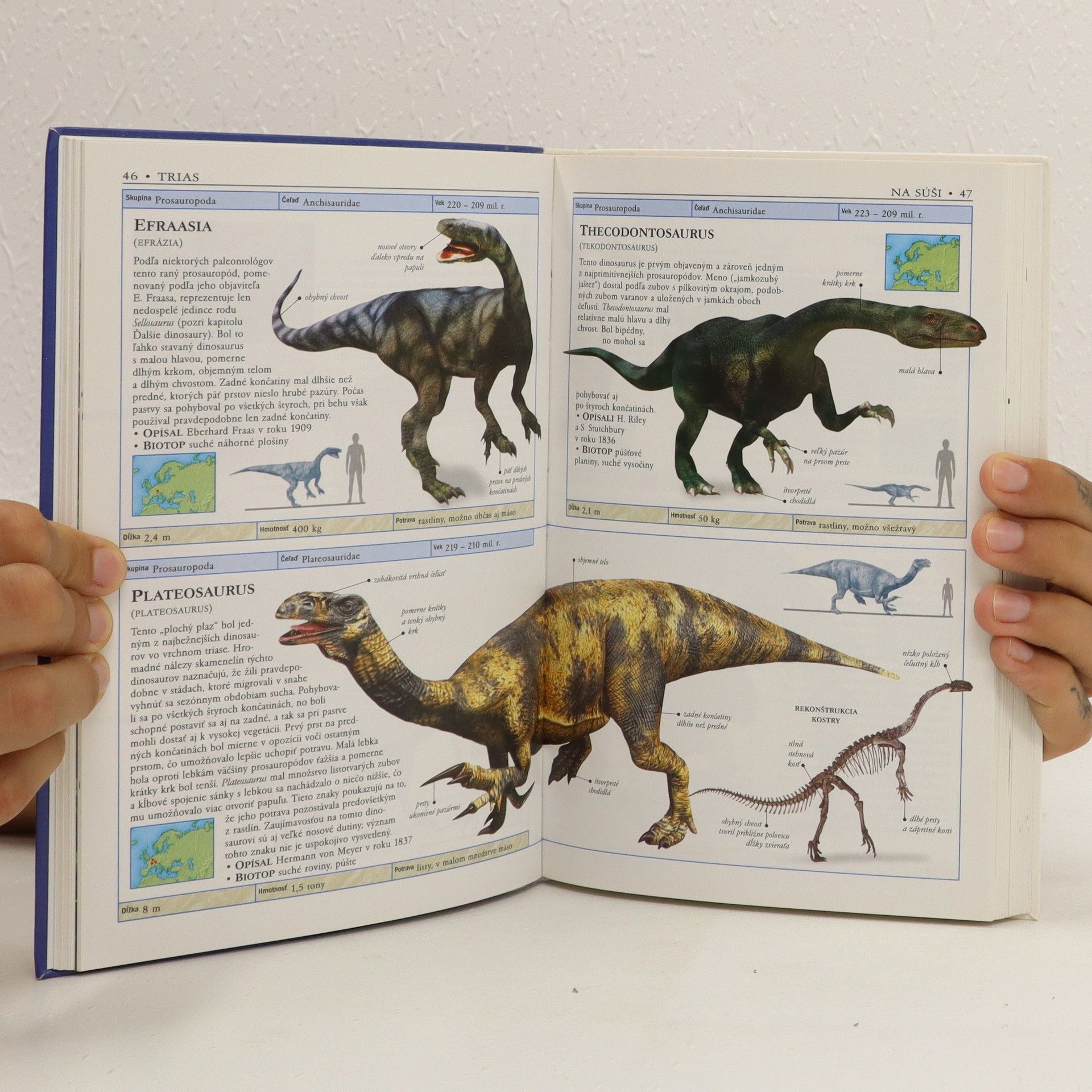 Hazel Richardson Dinosaury a prehistorický život