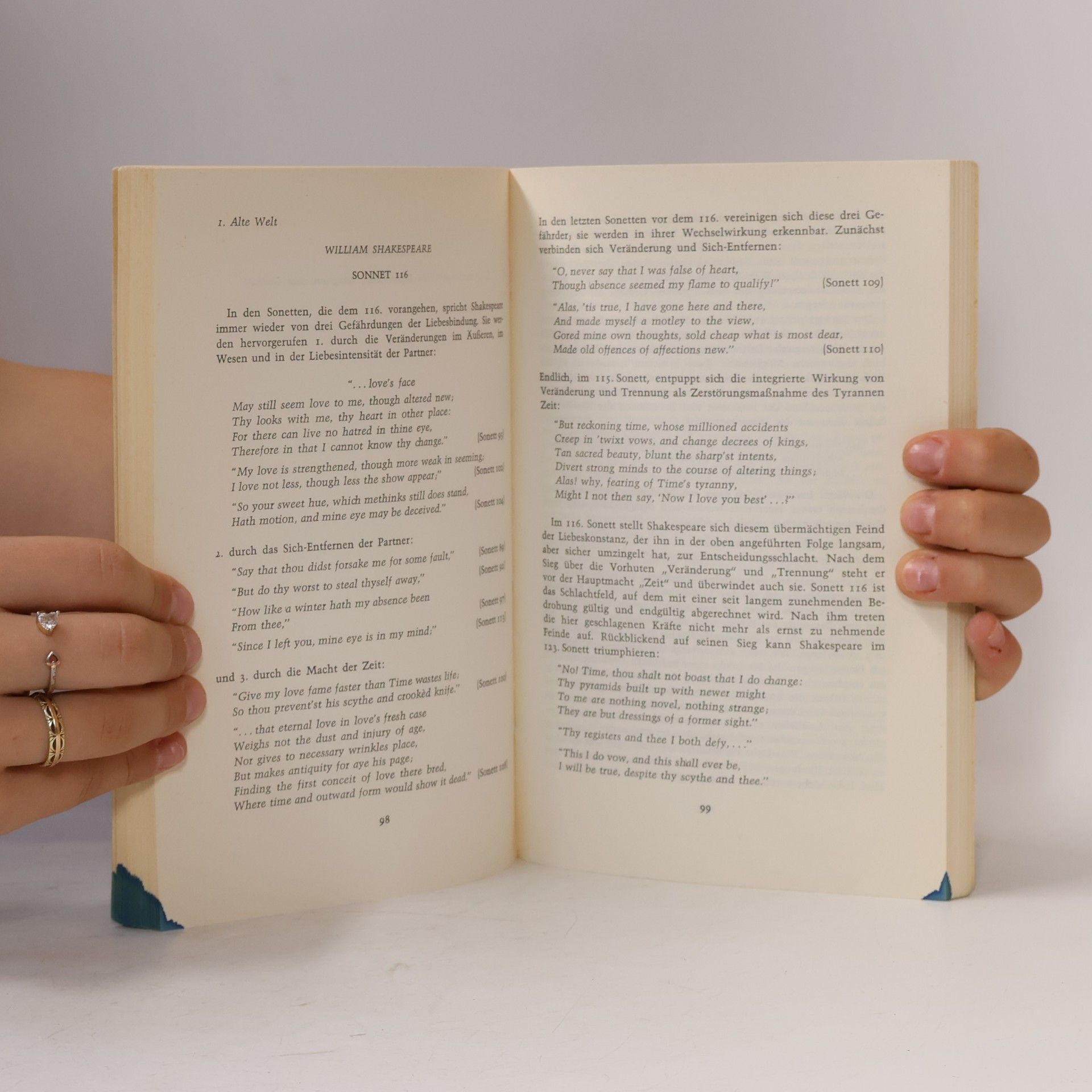 Autorenkollektiv Deutung englischer Gedichte