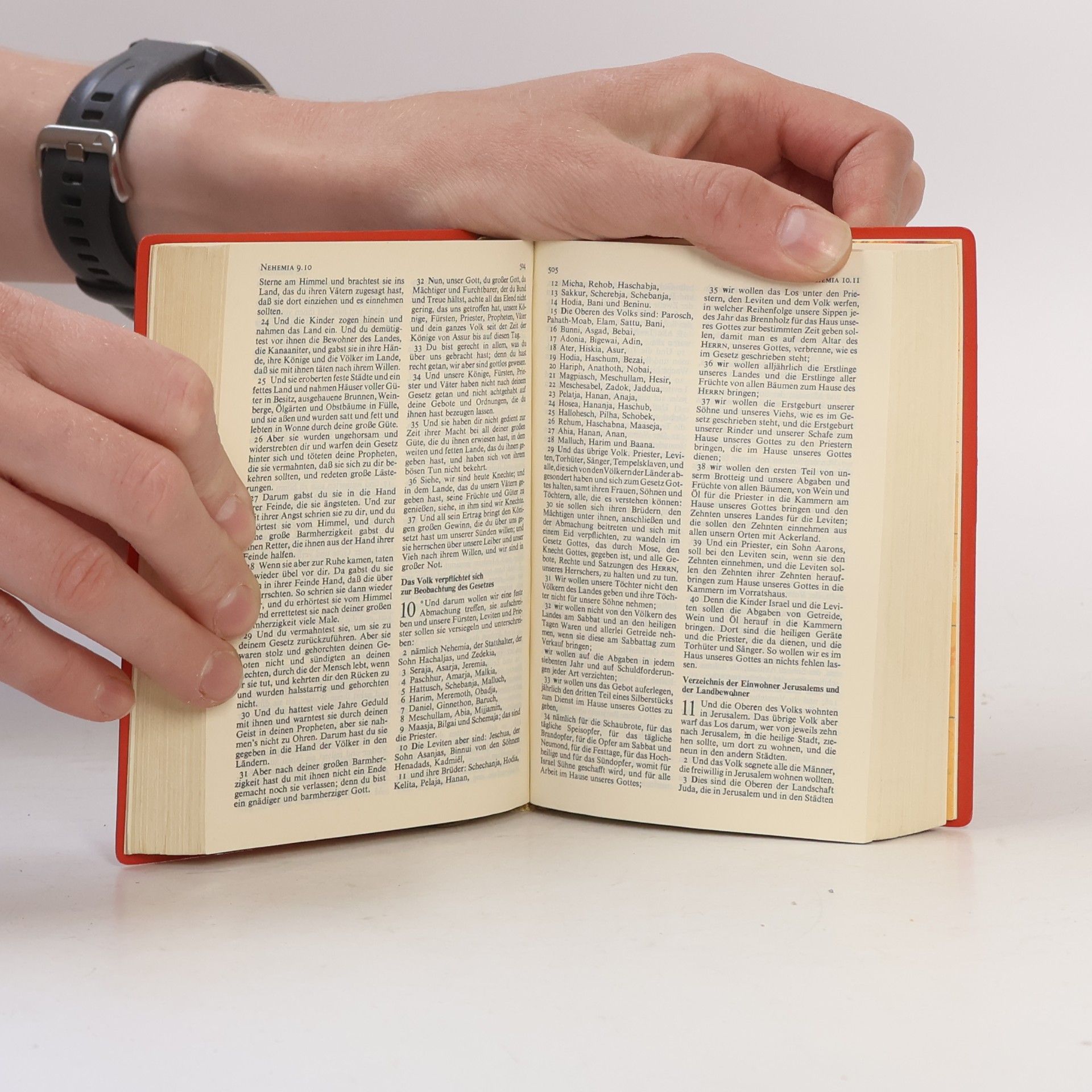 kolektiv Die Bibel