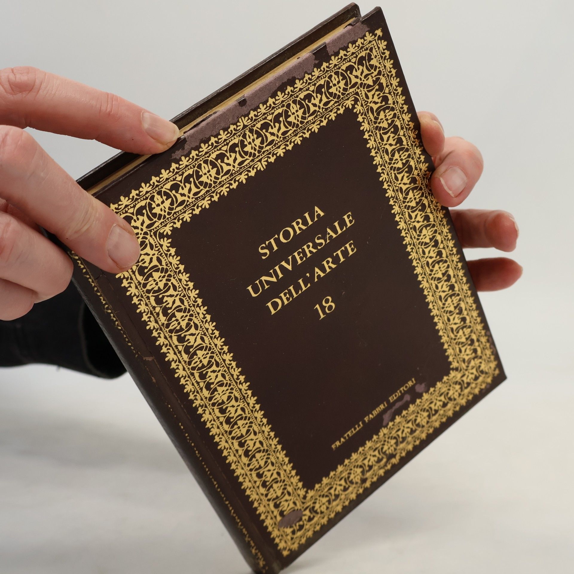 Maurizio Bonicatti Storia Universale dell'Arte 18
