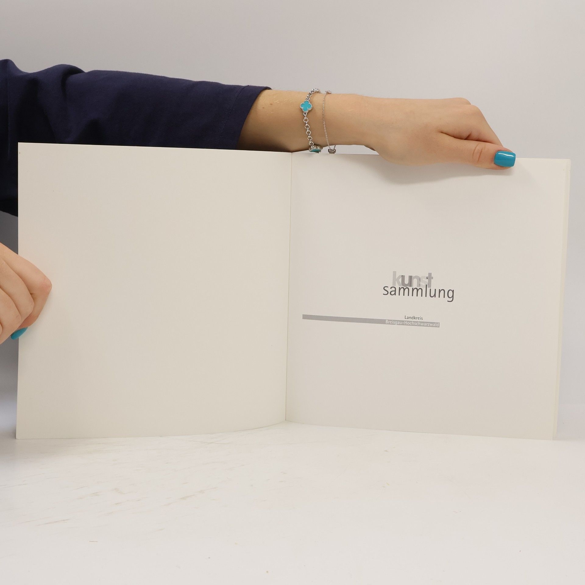Various authors Kunstsammlung Landkreis Breisgau-Hochschwarzwald