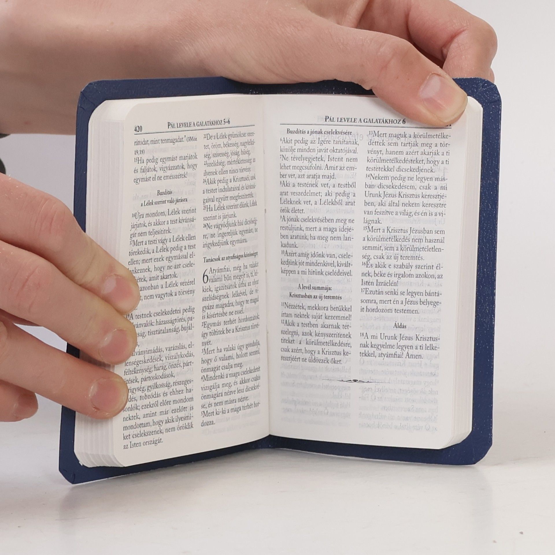 Károli Gáspár Újszövetség. Neue Testament. New Testament