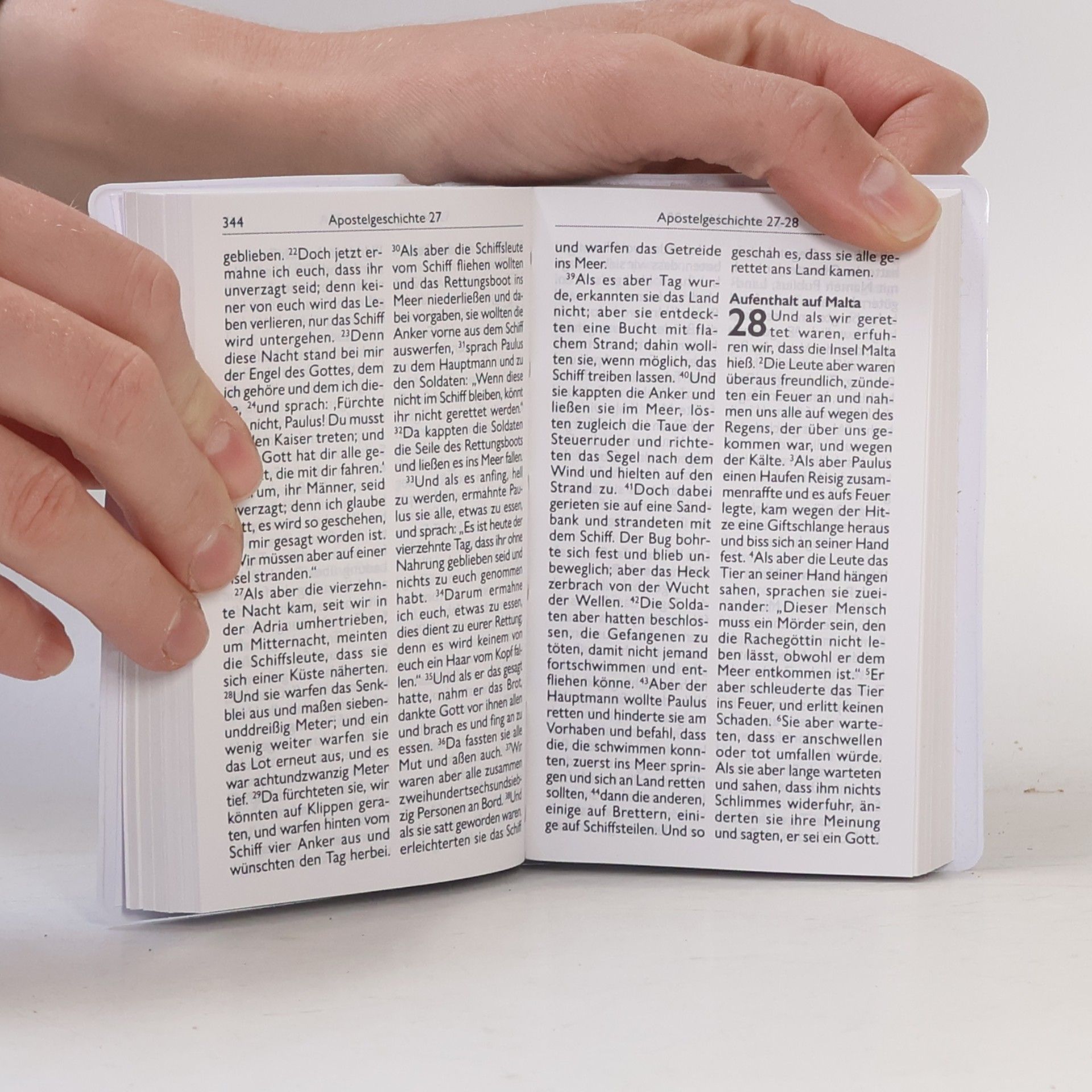Kolektiv autorů Die Bibel. Neues Testament