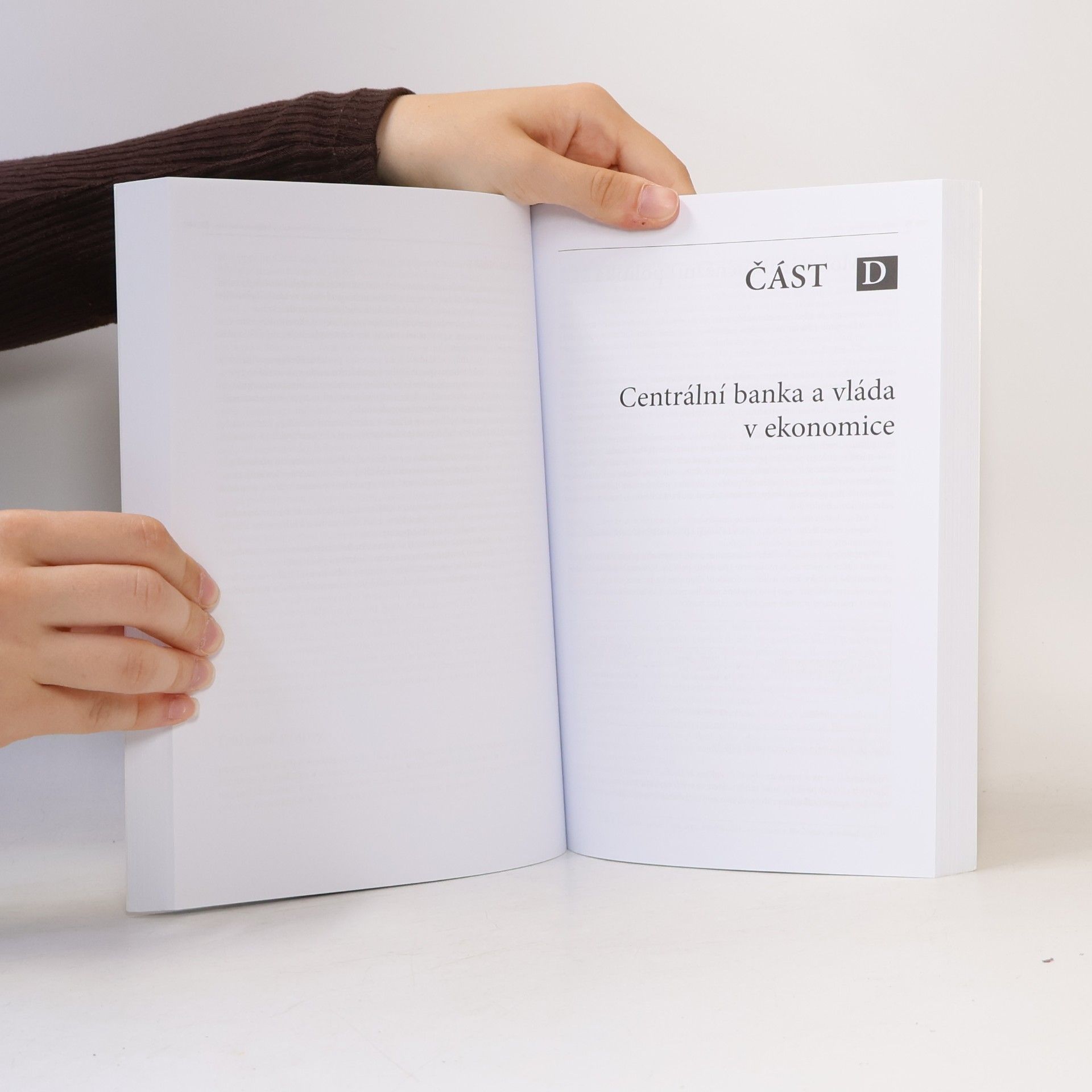 Autorenkollektiv Makroekonomie (4., aktualizované a rozšířené vydání)