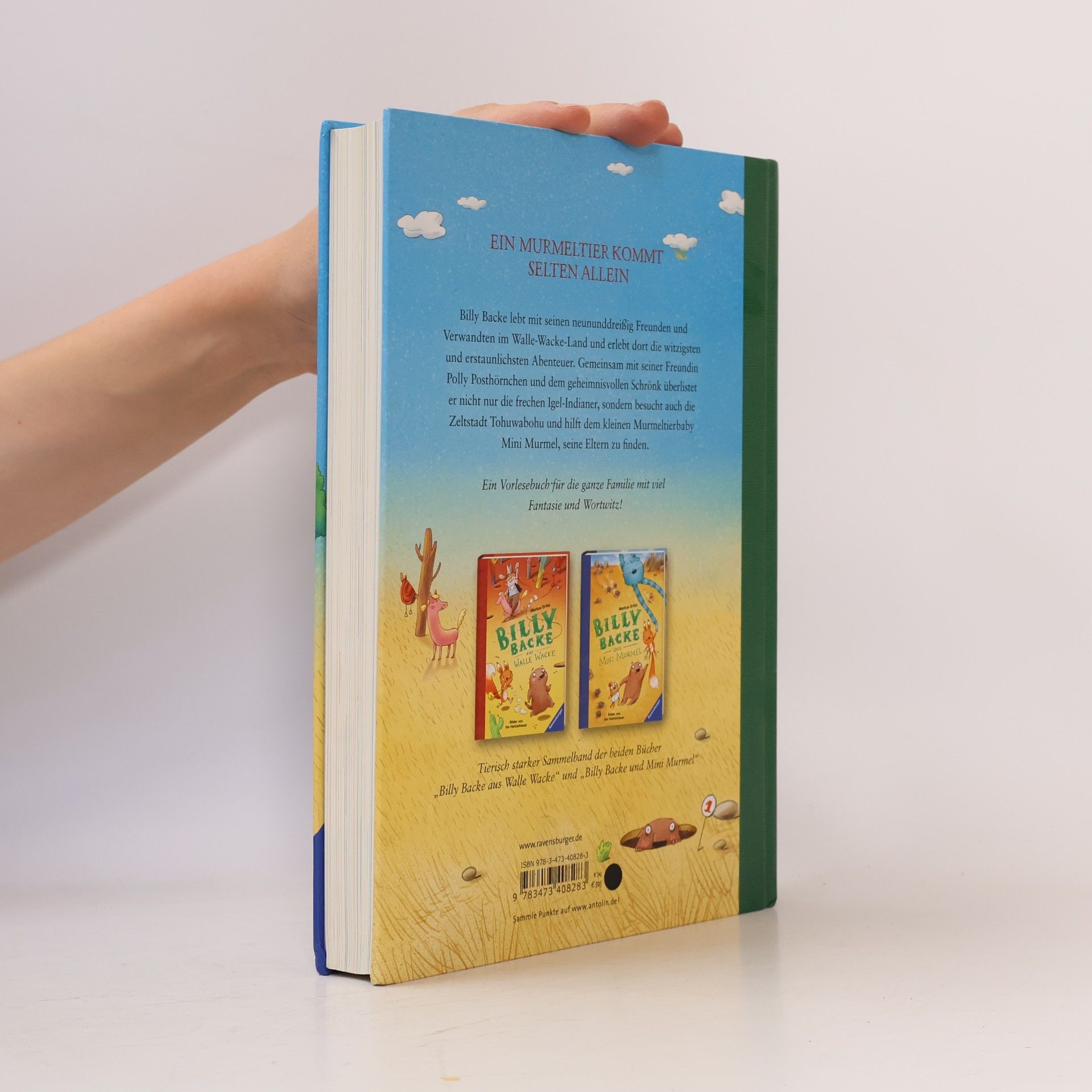 Markus Orths Das große Buch von Billy Backe