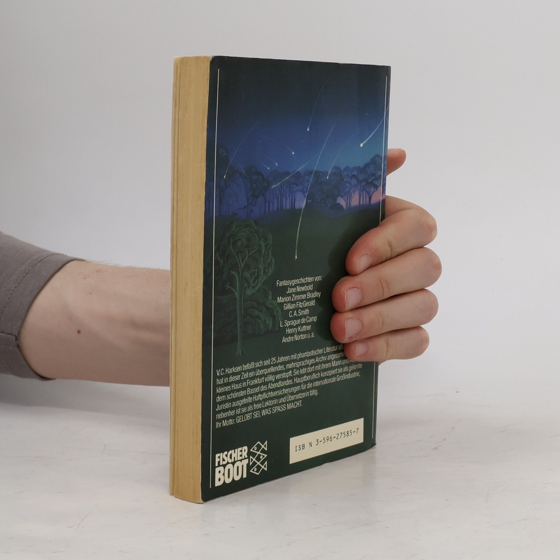 Verena C. Harksen Das Land hinter den Spiegeln. Fantasygeschichten