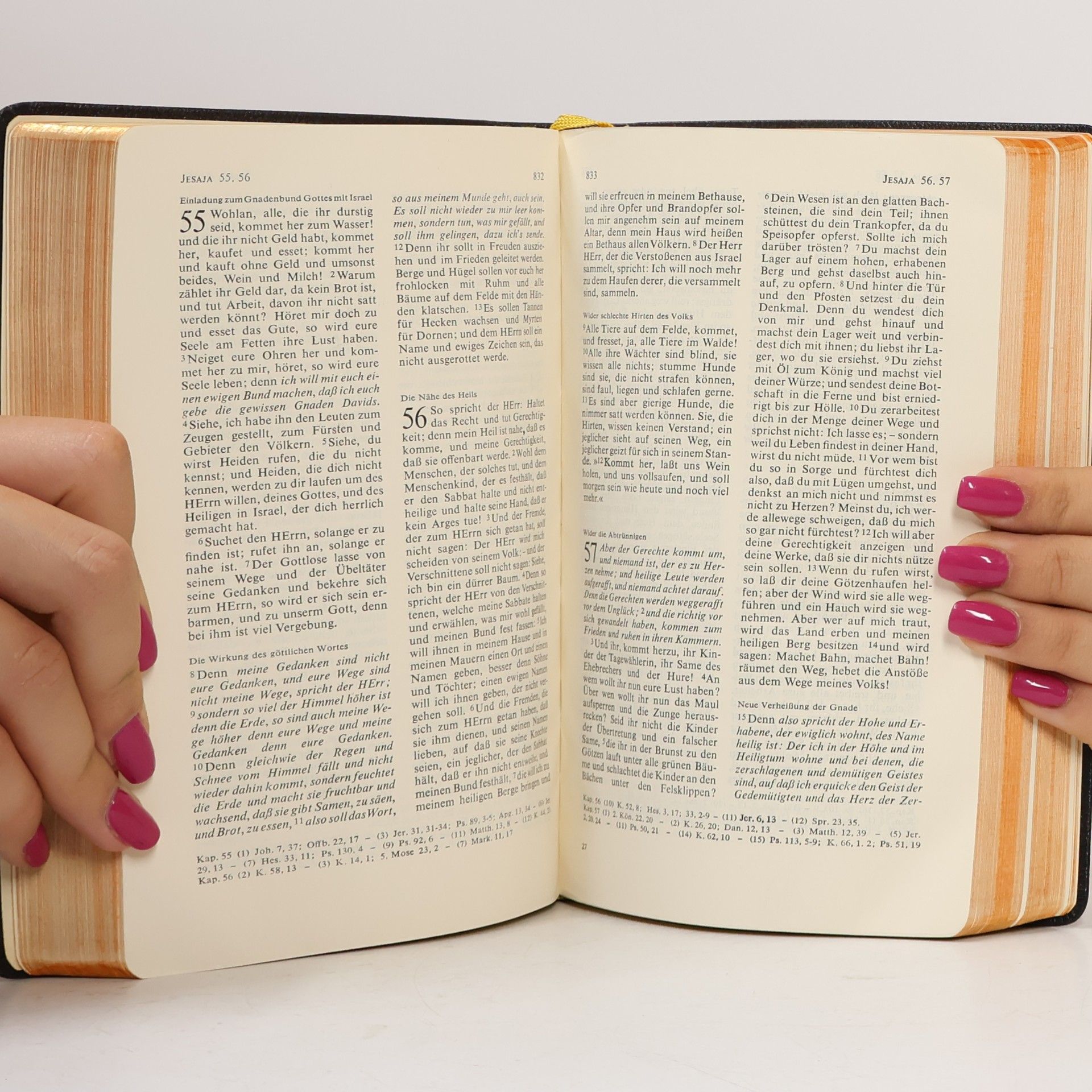 Martin Luther Die Heilige Schrift