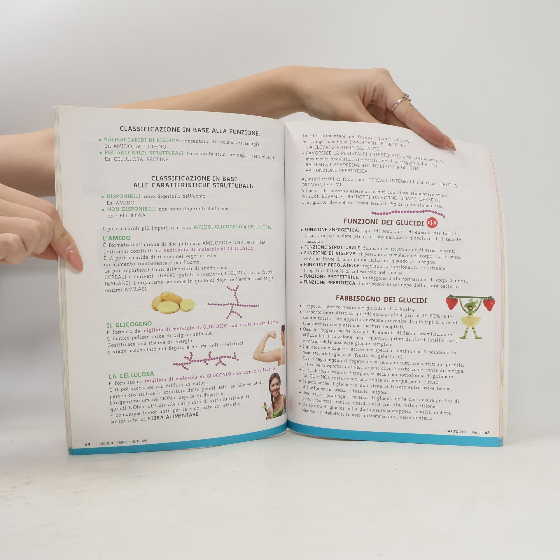 Autorenkollektiv Scienza degli alimenti Easy