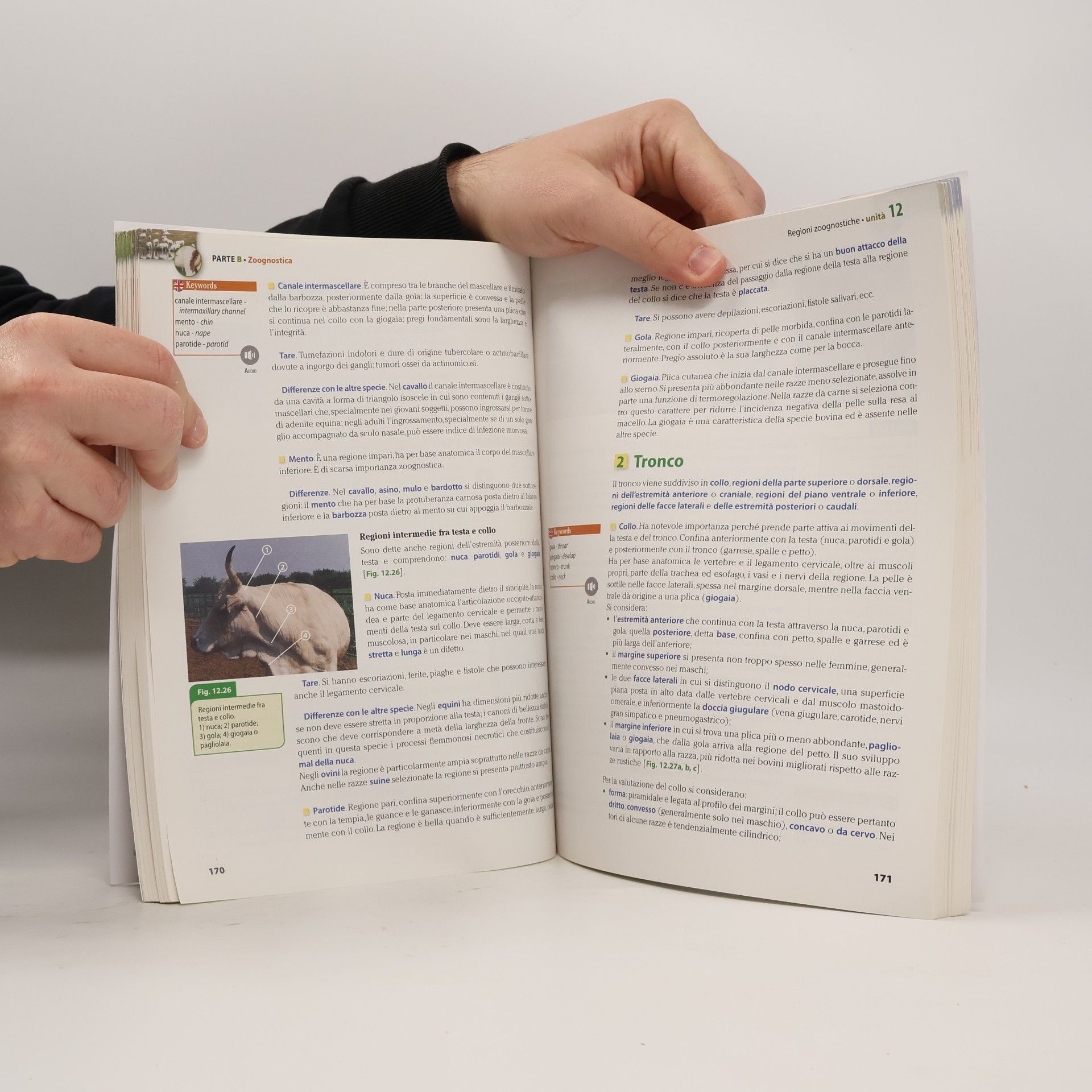 A. Veggetti Produzioni animali - A: Basi tecnico-scientifiche di zootecnica - Con Extrakit-Openbook. Per le scuole superiori. Con e-book. Con espansione online
