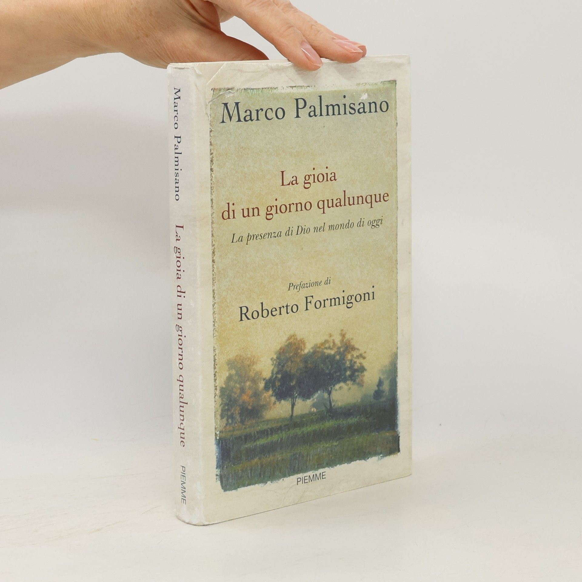 Marco Palmisano La gioia di un giorno qualunque. La presenza di Dio nel mondo di oggi