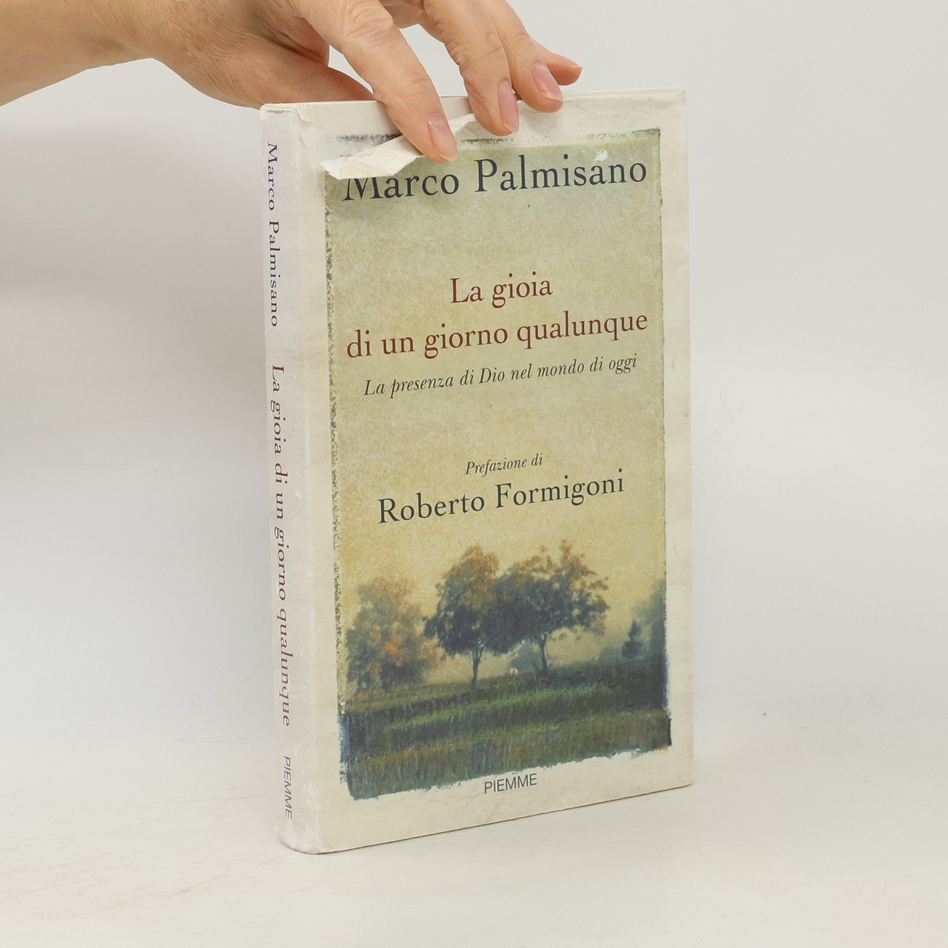 Marco Palmisano La gioia di un giorno qualunque. La presenza di Dio nel mondo di oggi