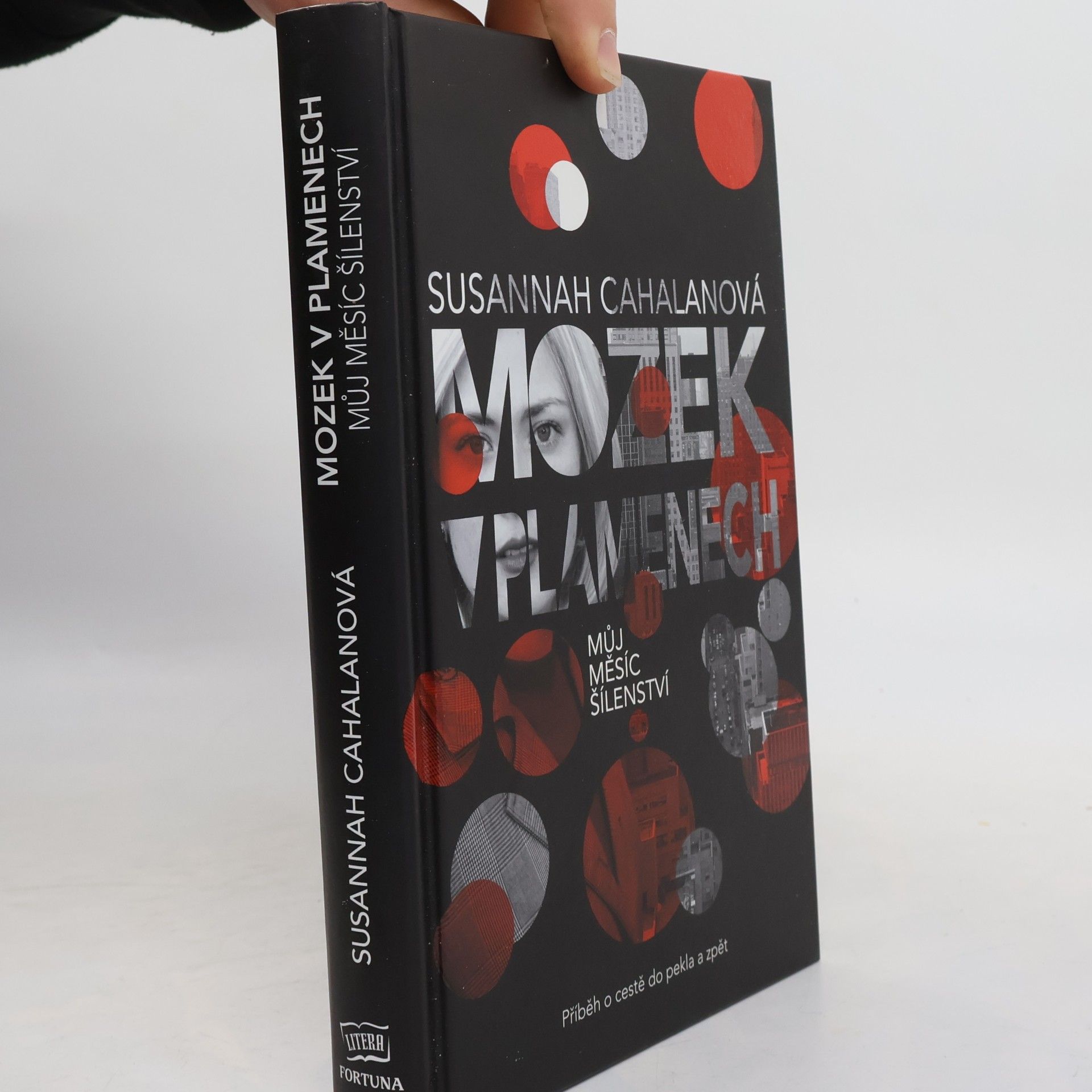 Susannah Cahalan Mozek v plamenech : můj měsíc šílenství