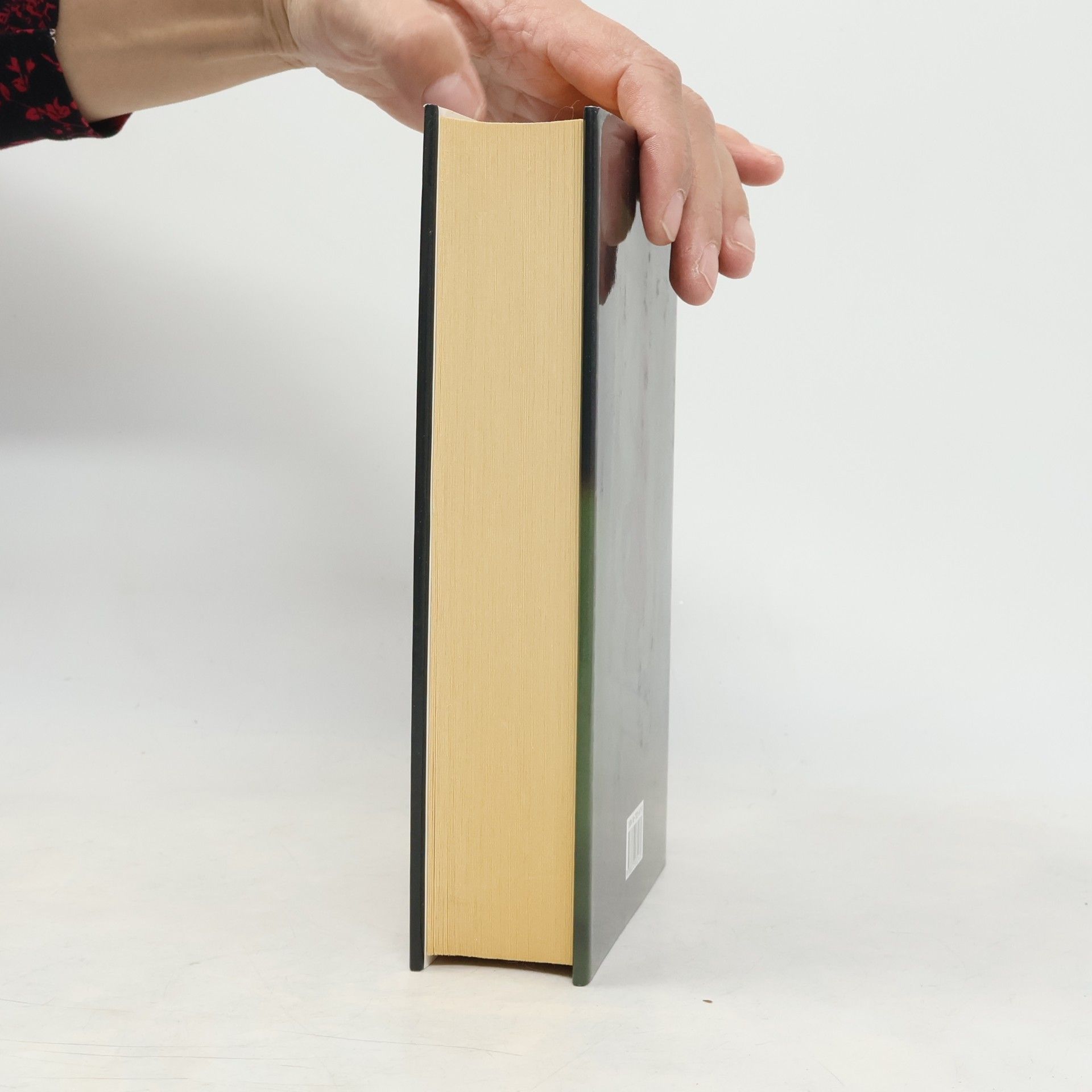 Jeffery Deaver Dvanáctá karta