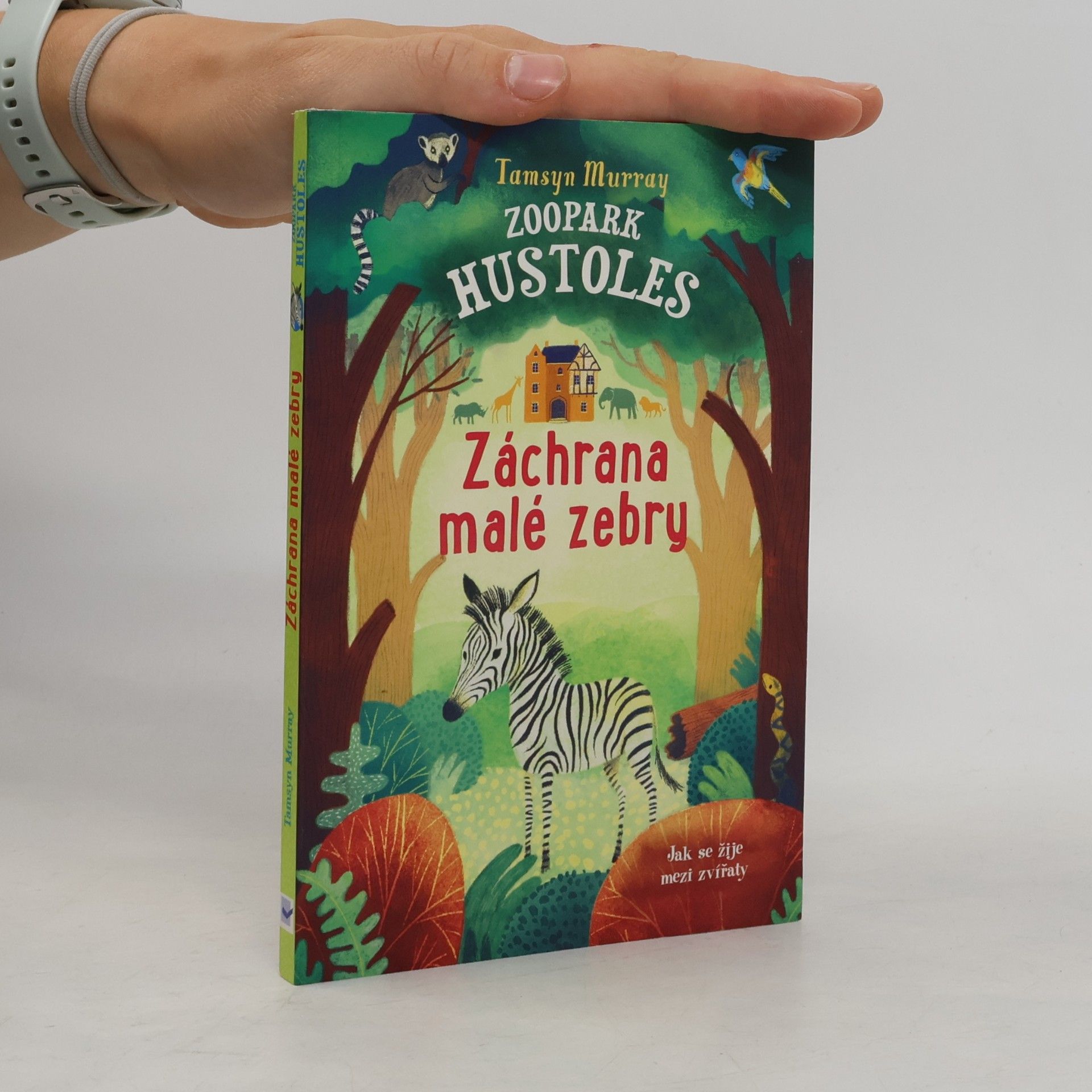 Zoopark Hustoles. Záchrana malé zebry