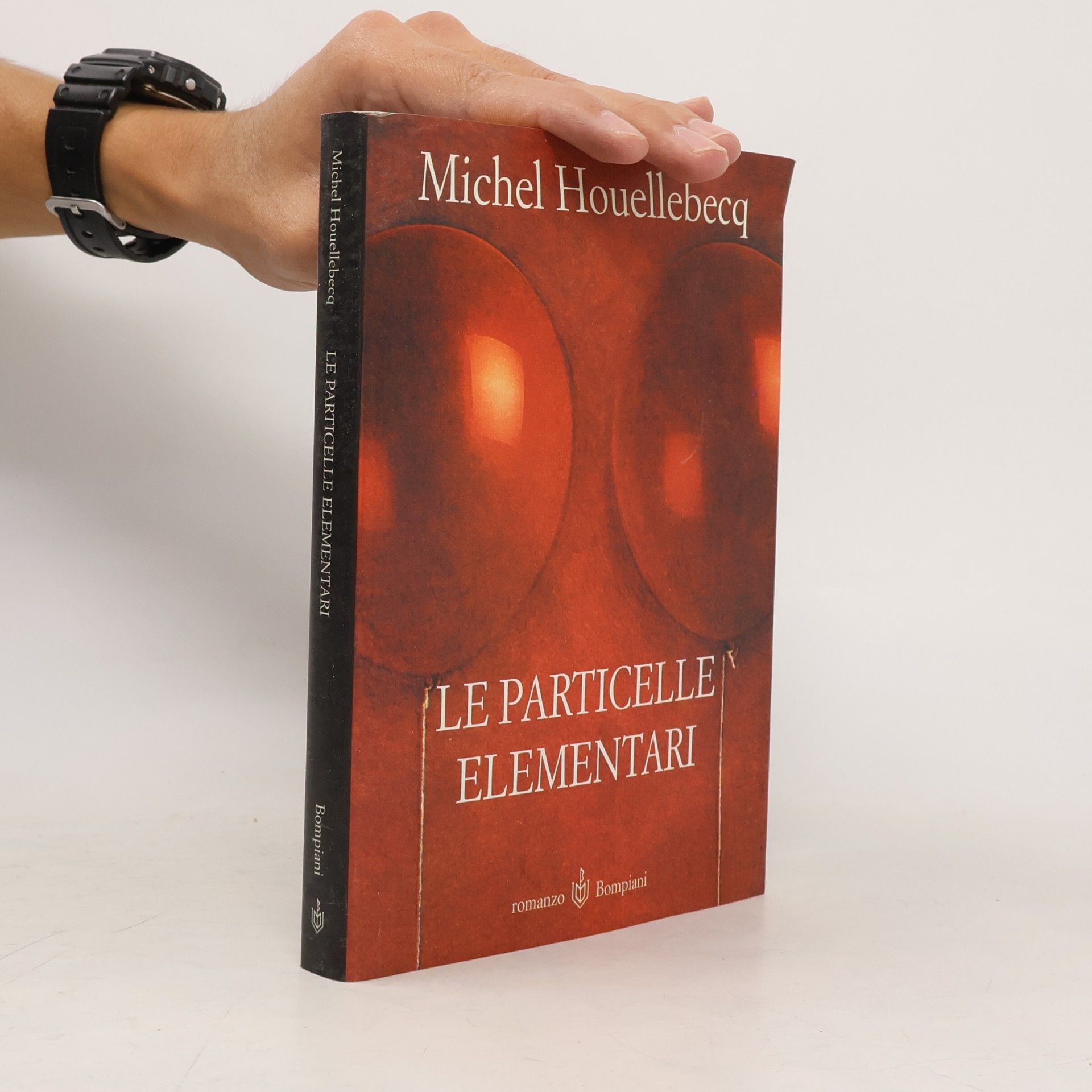 Michel Houellebecq Le particelle elementari