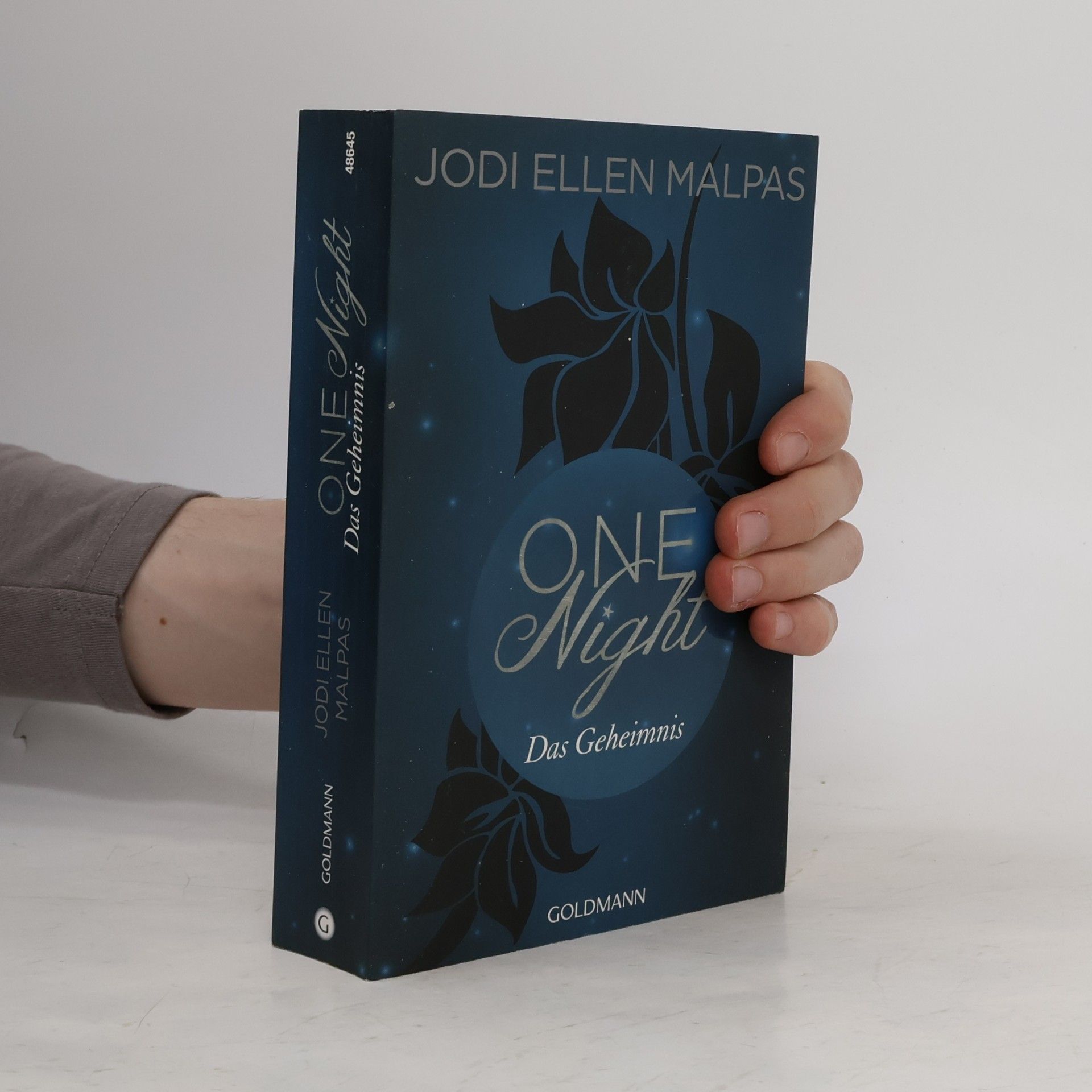 One night - das Geheimnis