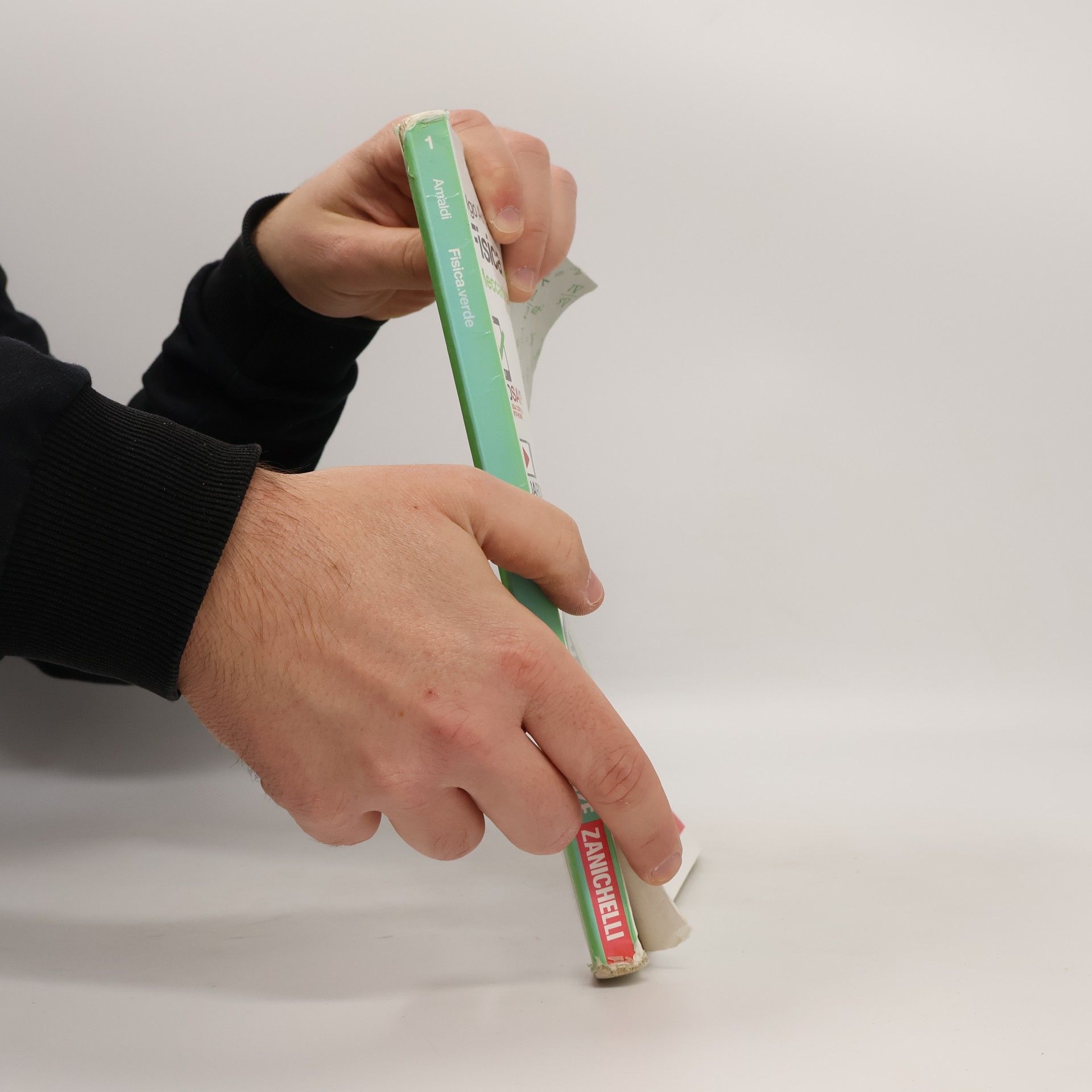 Ugo Amaldi Fisica.verde 1