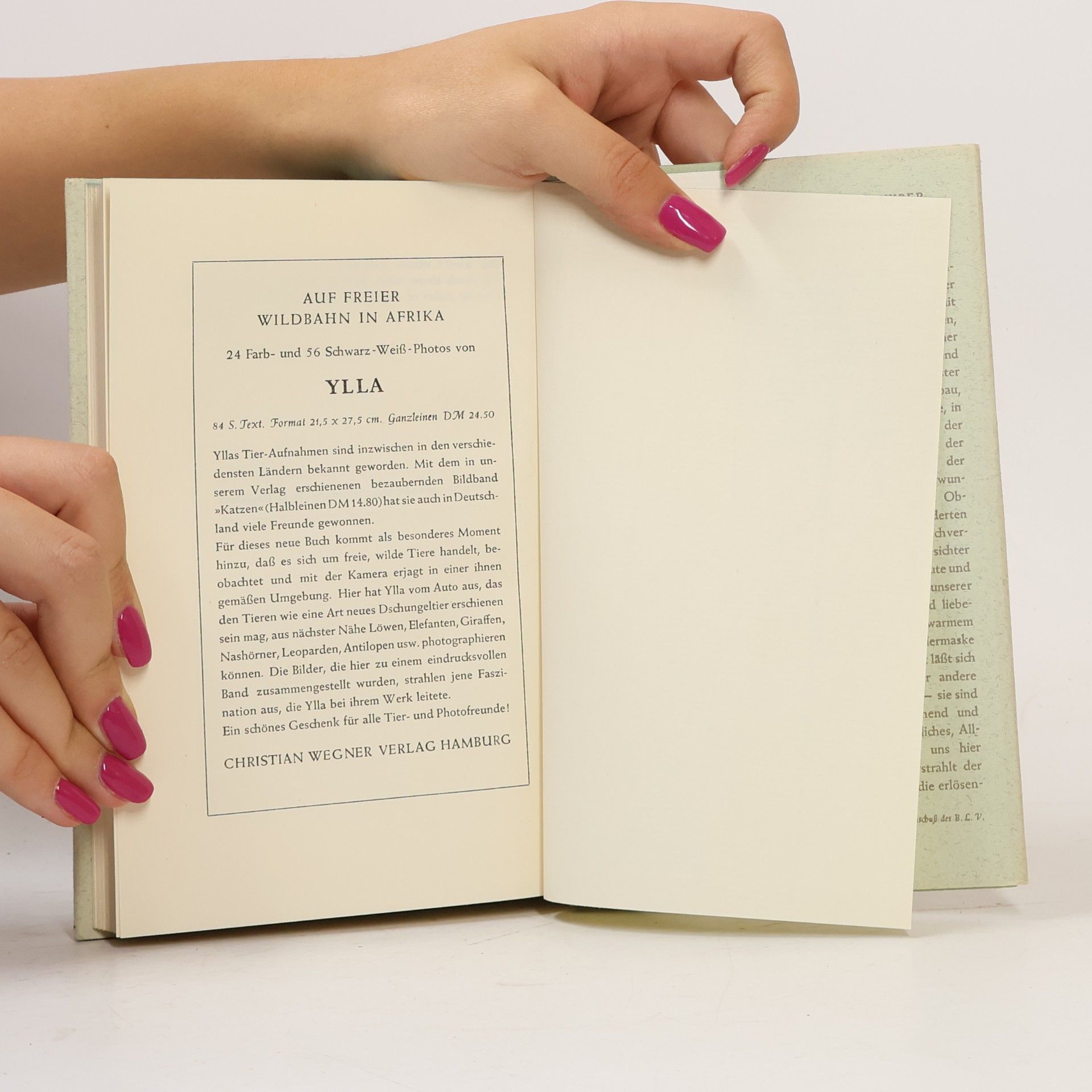 Manfred Kyber Gesammelte Märchen