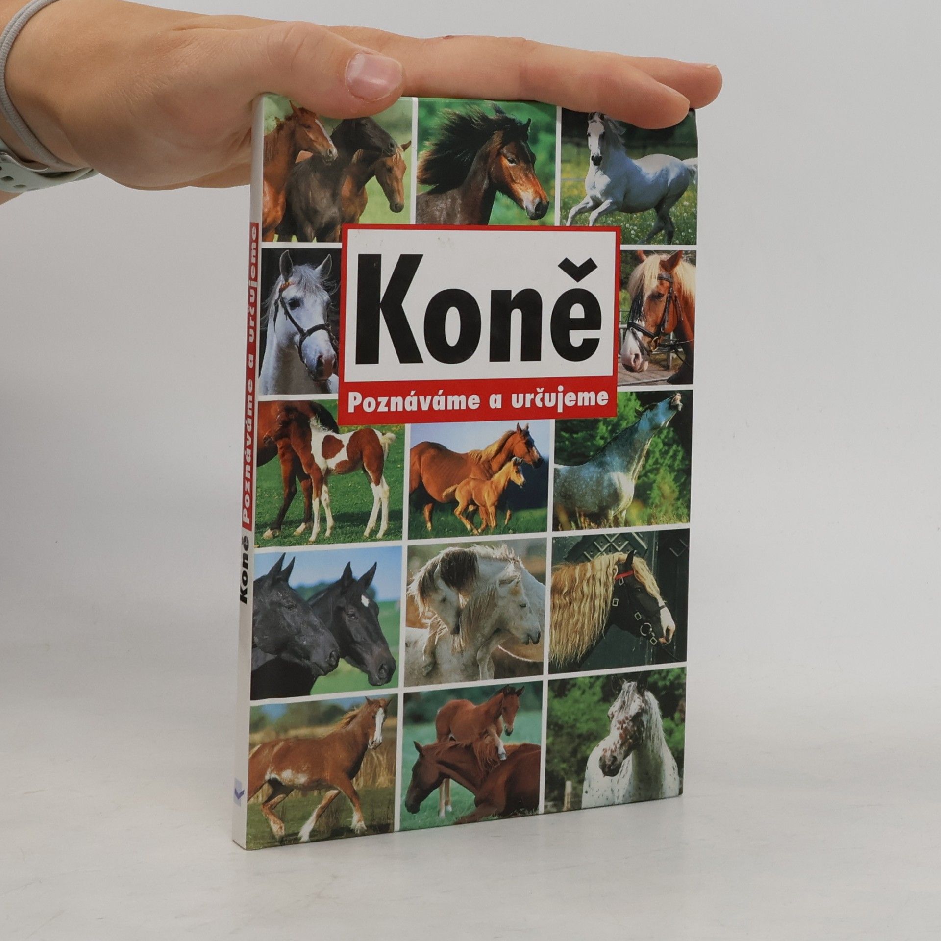 Autorenkollektiv Koně - Poznáváme a určujeme