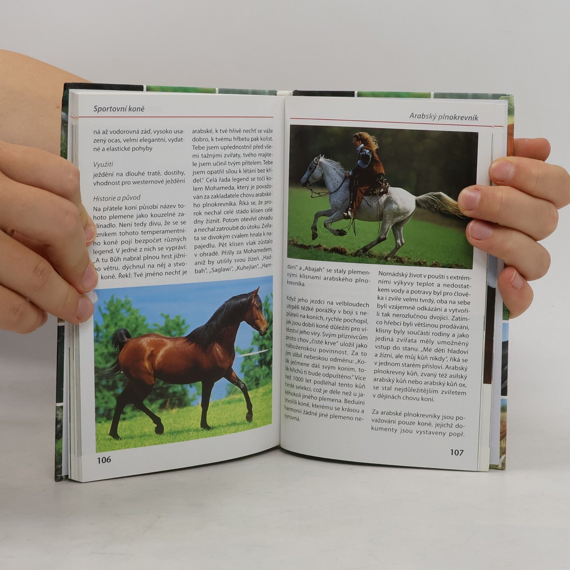 Autorenkollektiv Koně - Poznáváme a určujeme