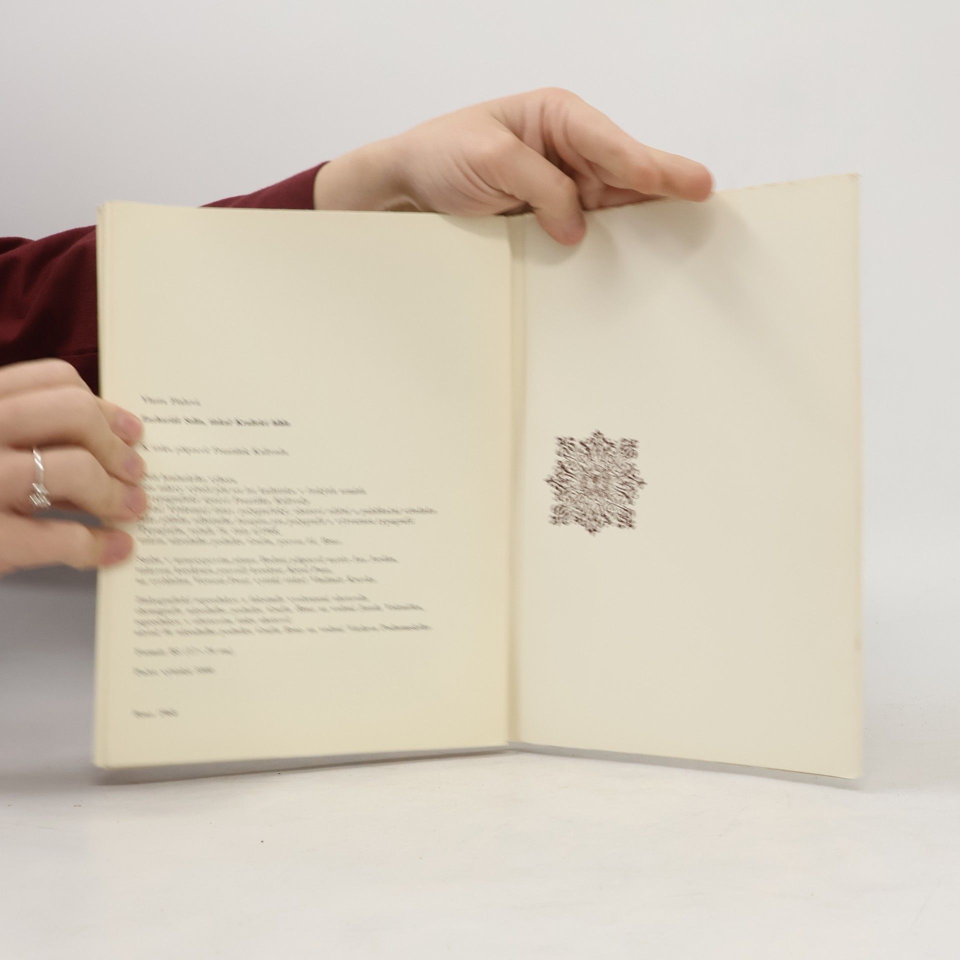 Vlasta Fialová Zachariáš Solín, tiskař Kralické bible