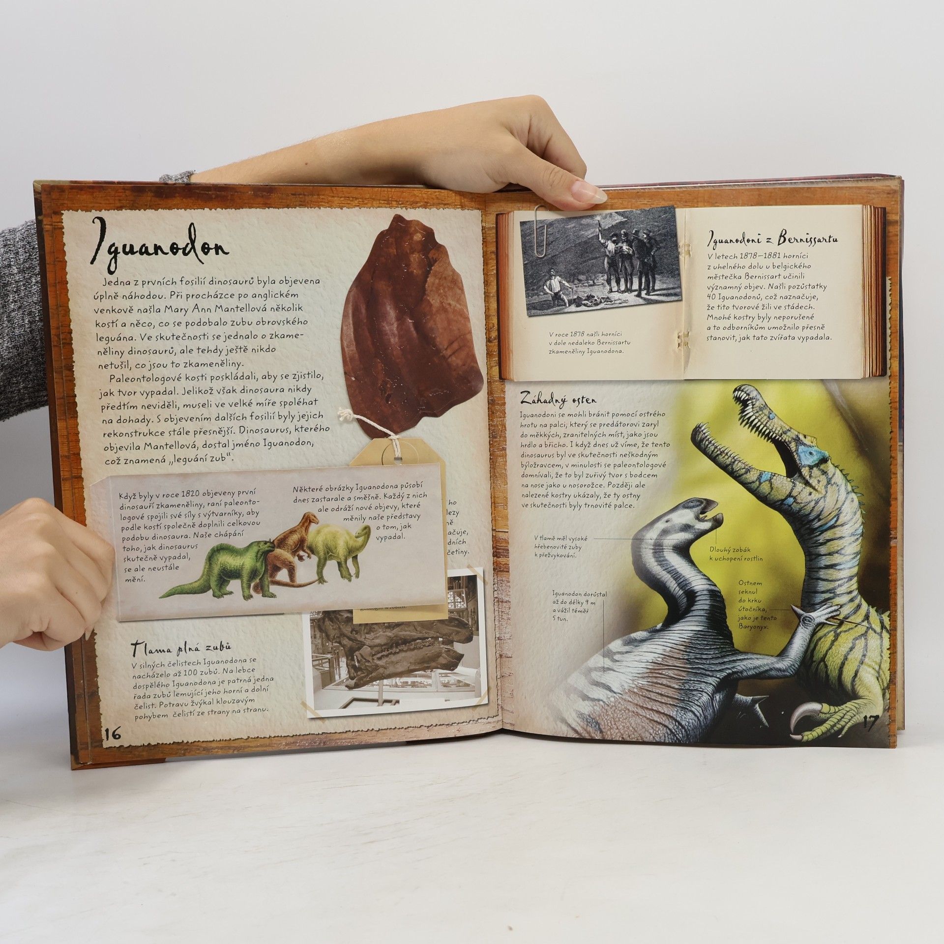 Jen Green Lovci dinosaurů