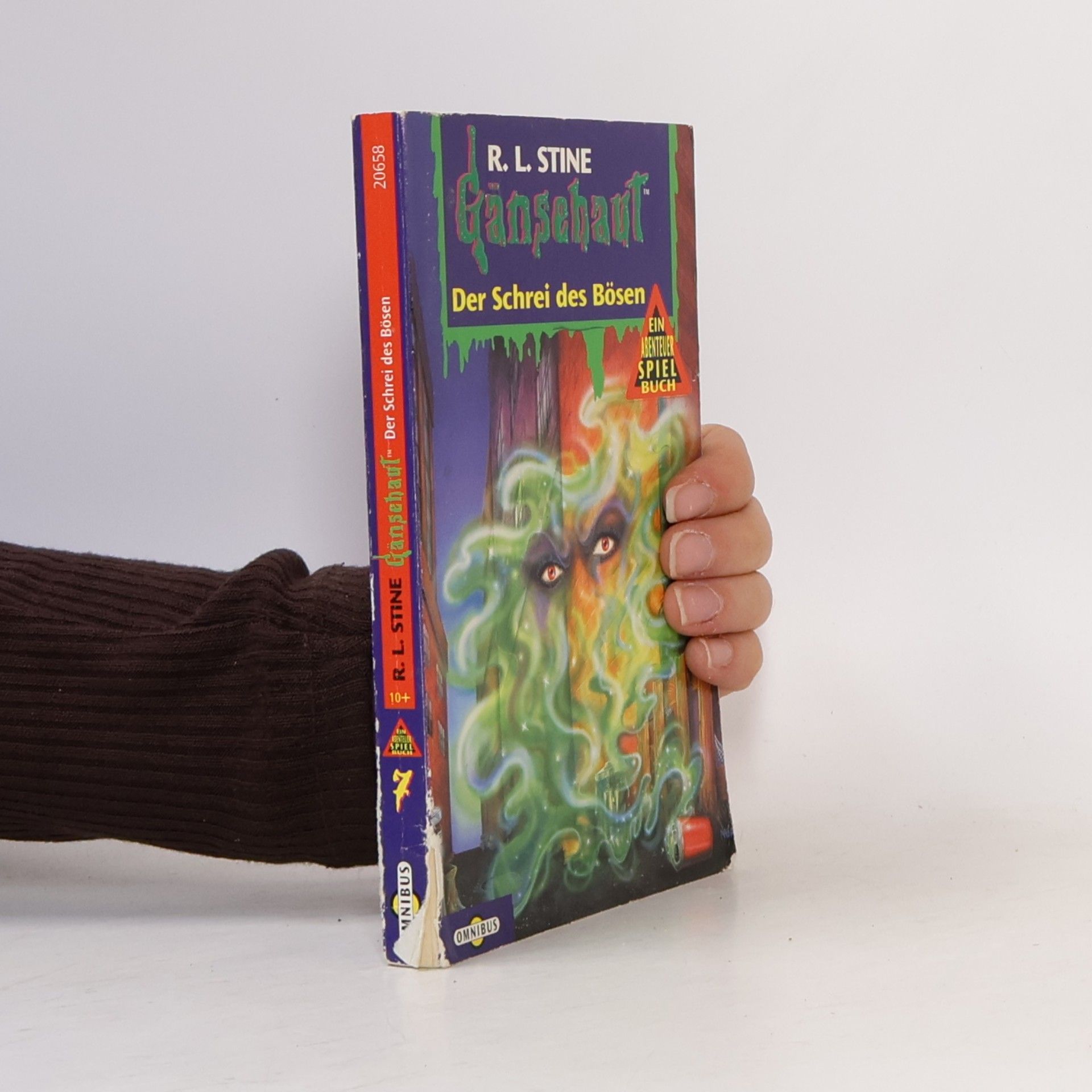 R. L. Stine Der Schrei des Bösen