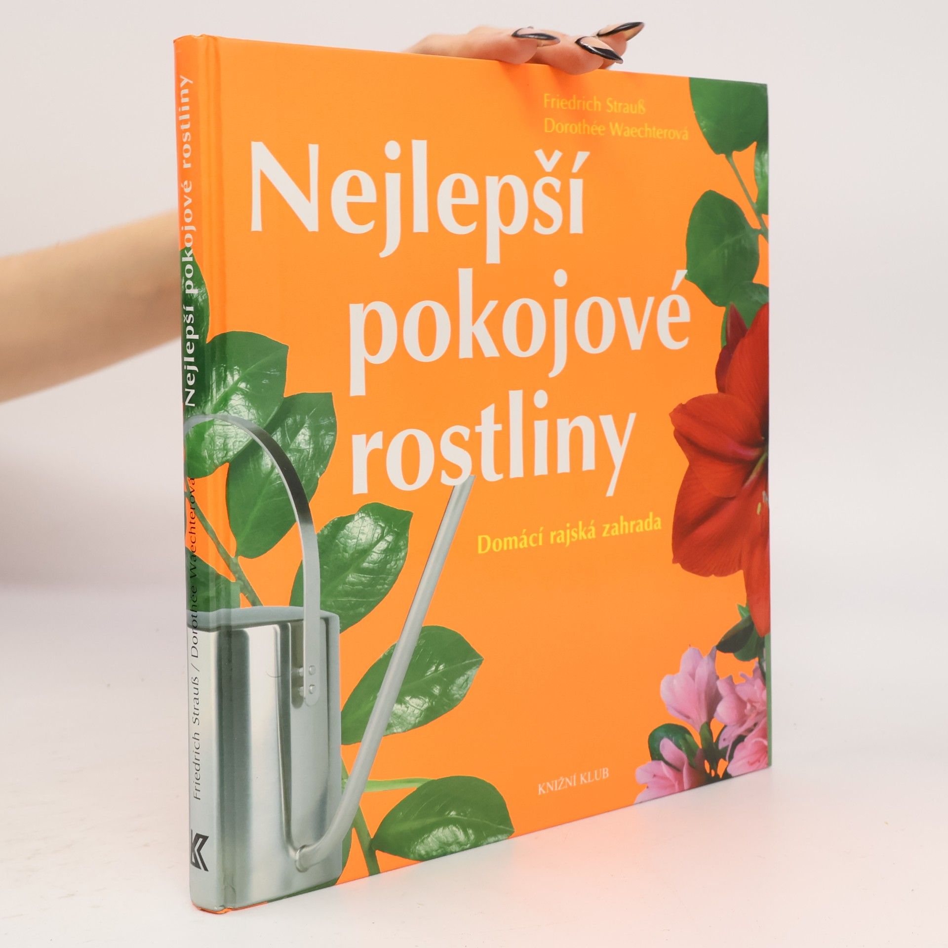 Nejlepší pokojové rostliny: Domácí rajská zahrada