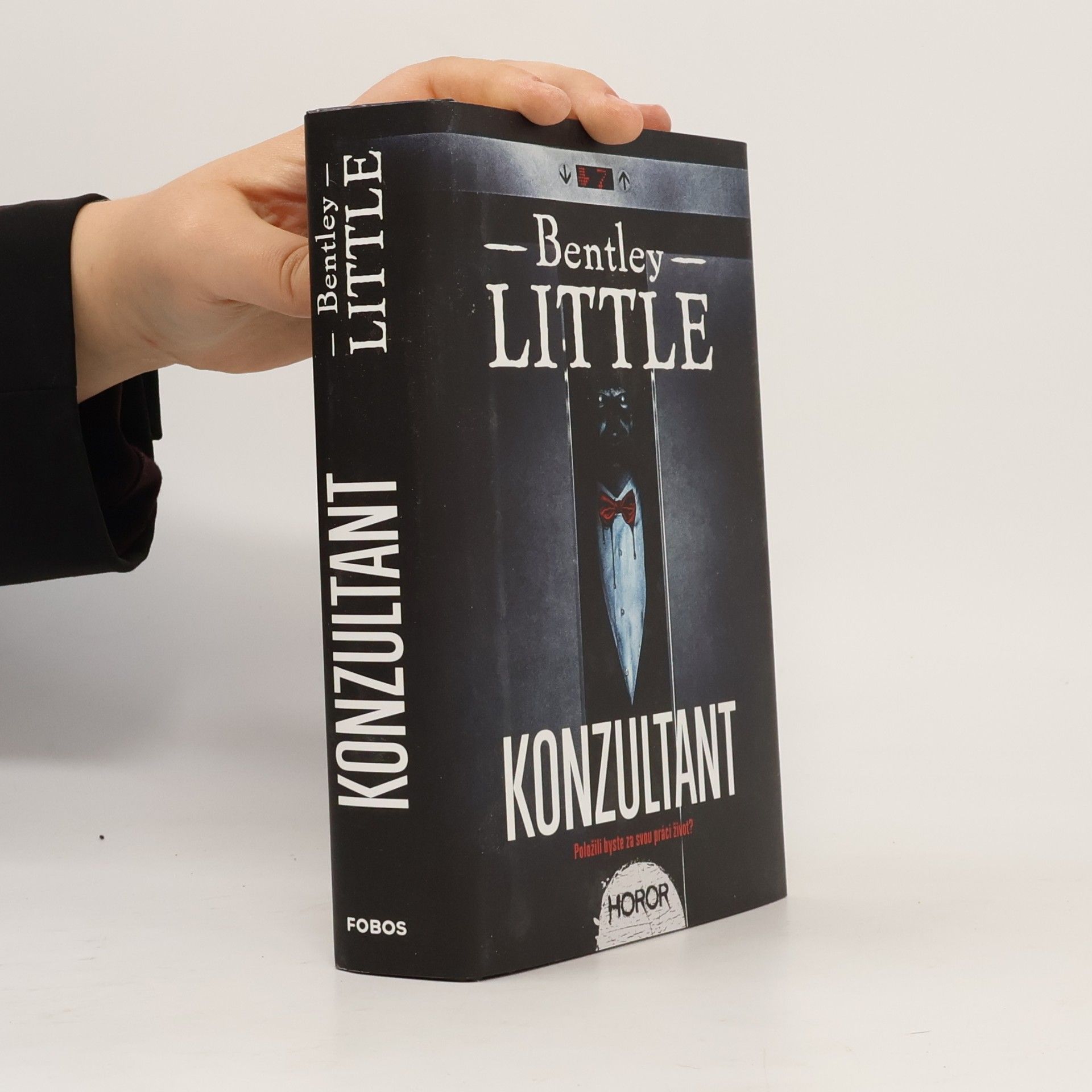 Bentley Little Konzultant